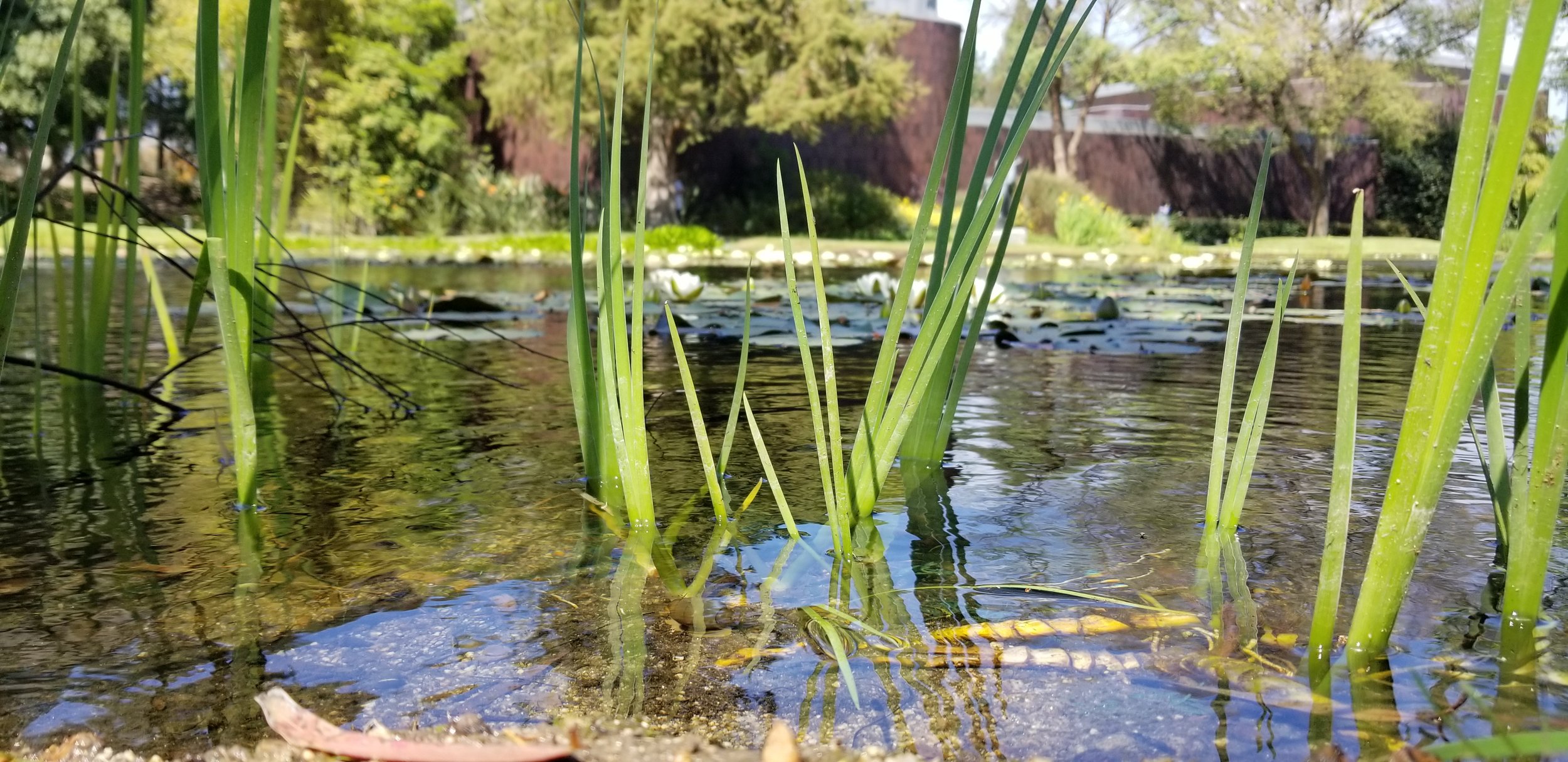 Old but Gold Vol. 1: Flower's and a Museum Garden