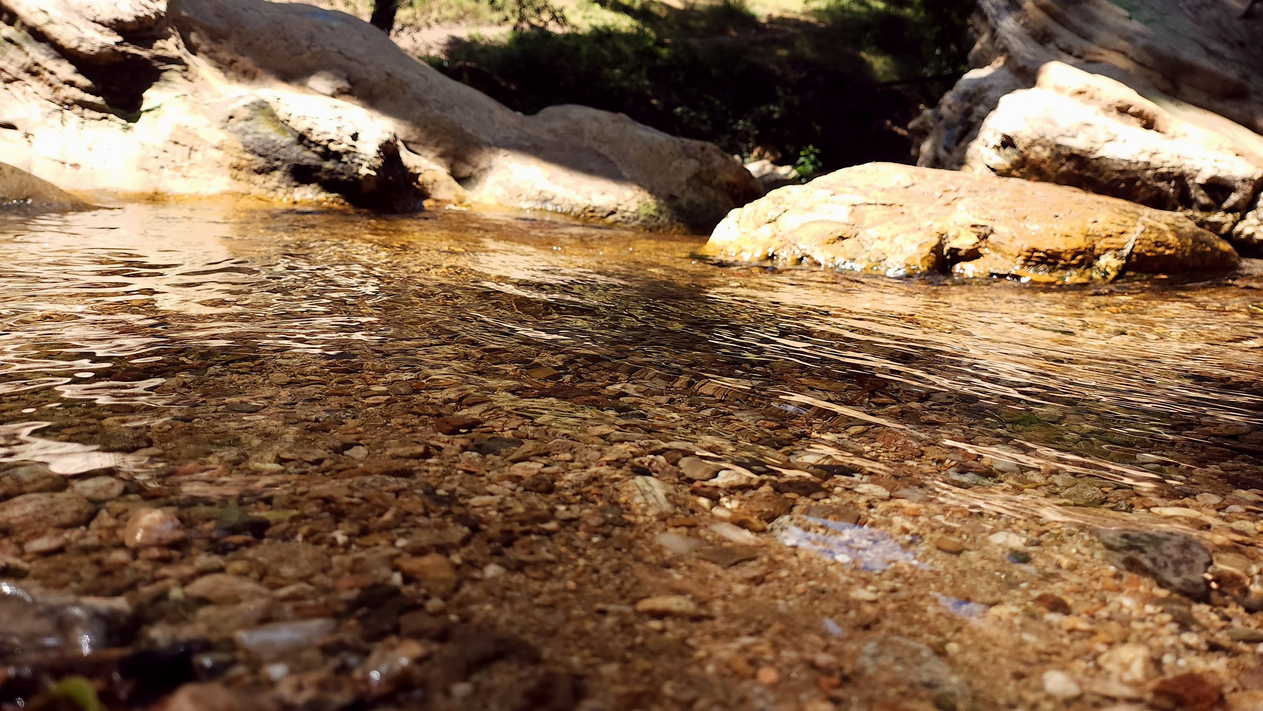 A Day on the Trail