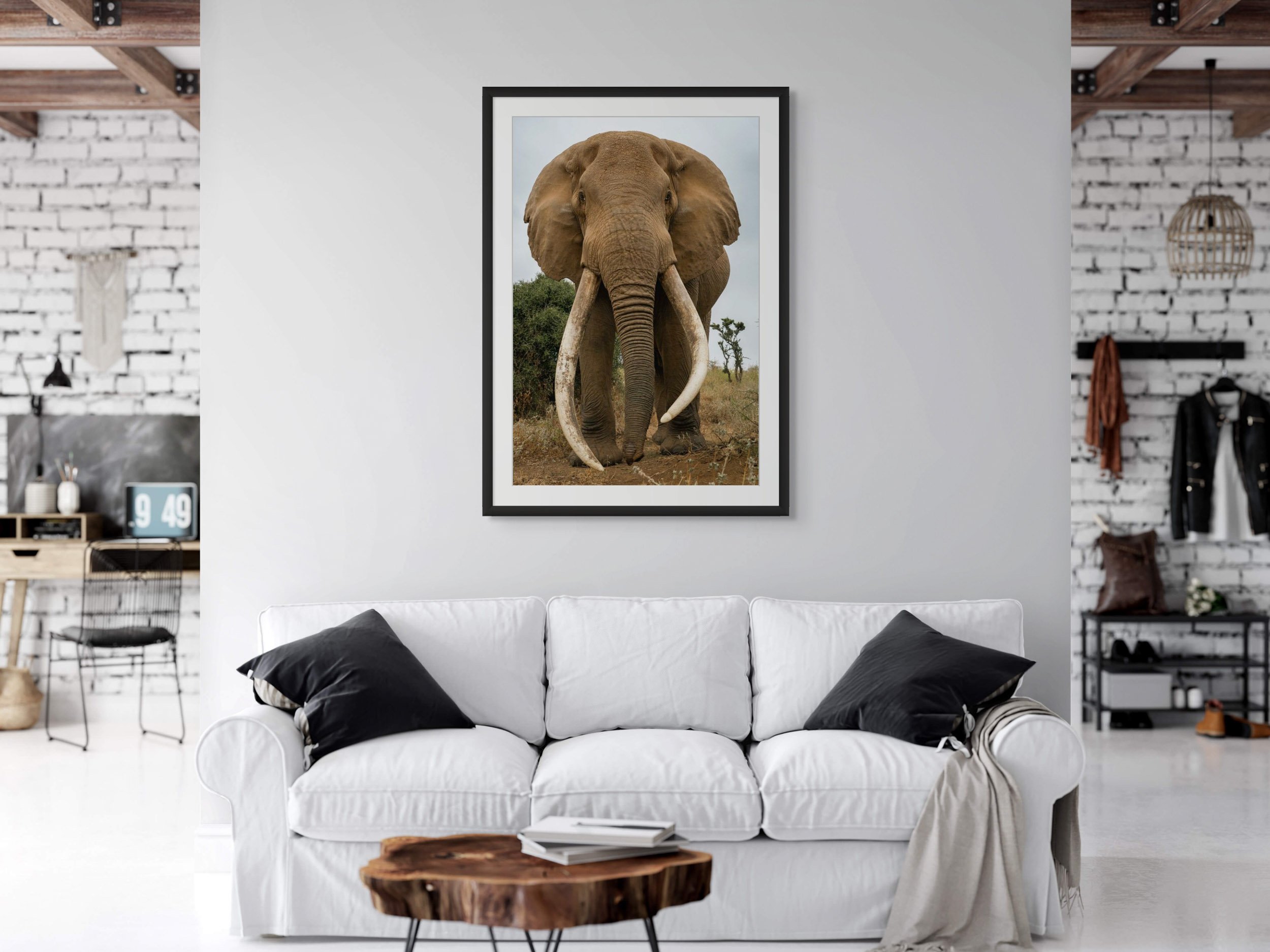 wildwithsam-wildlife-elephant-tusker-amboseli.jpg