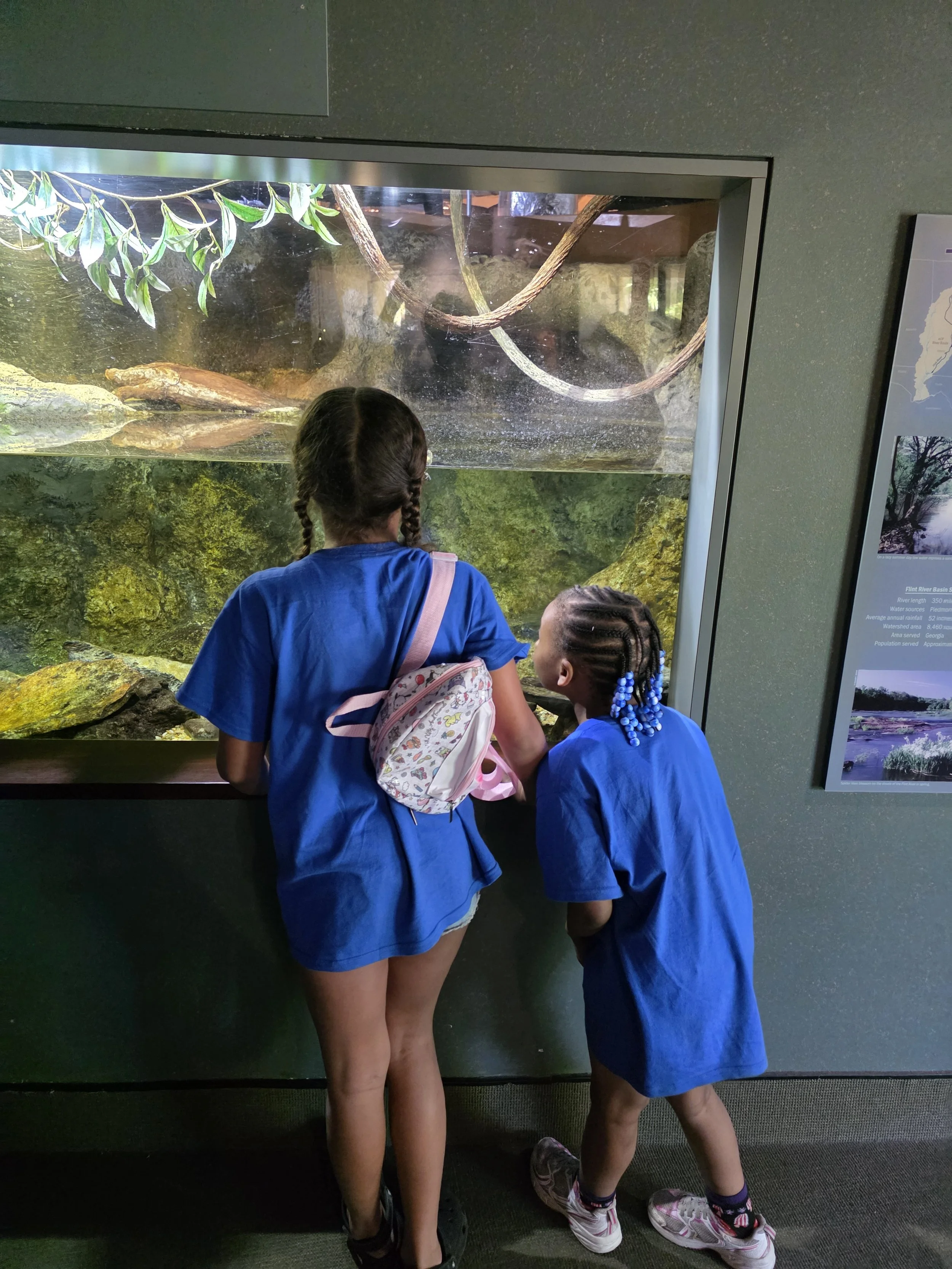 BGC @ Flint River Aquarium