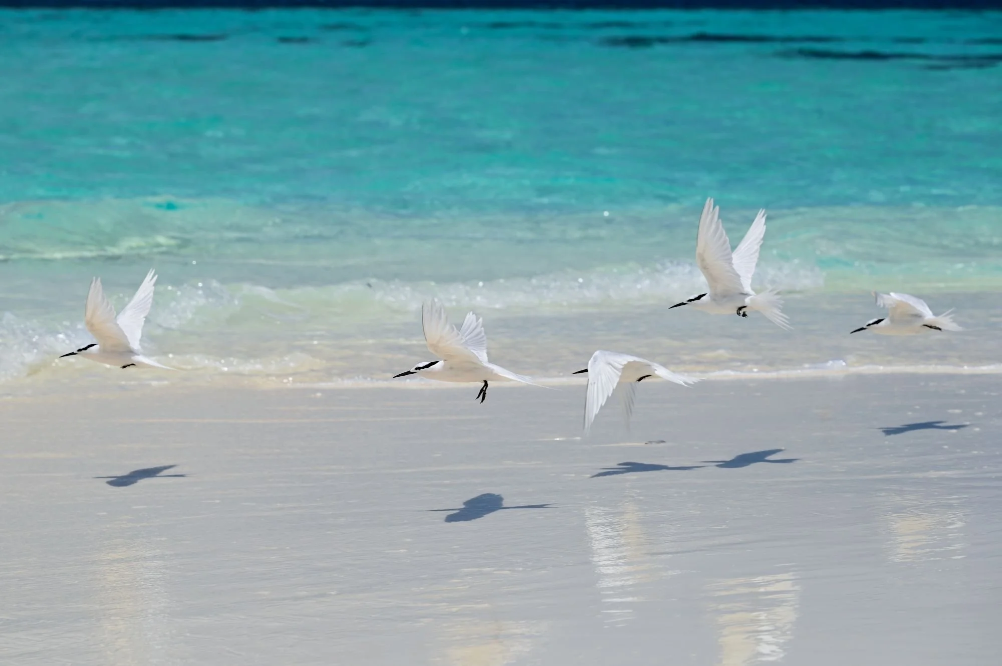 DSC_8035.JPG