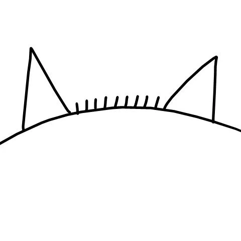 Cat with a haircut