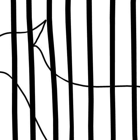 Zebra in jail