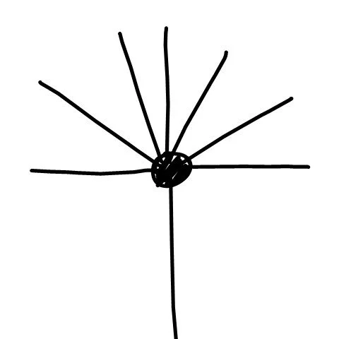 Daddy long legs doing a handstand