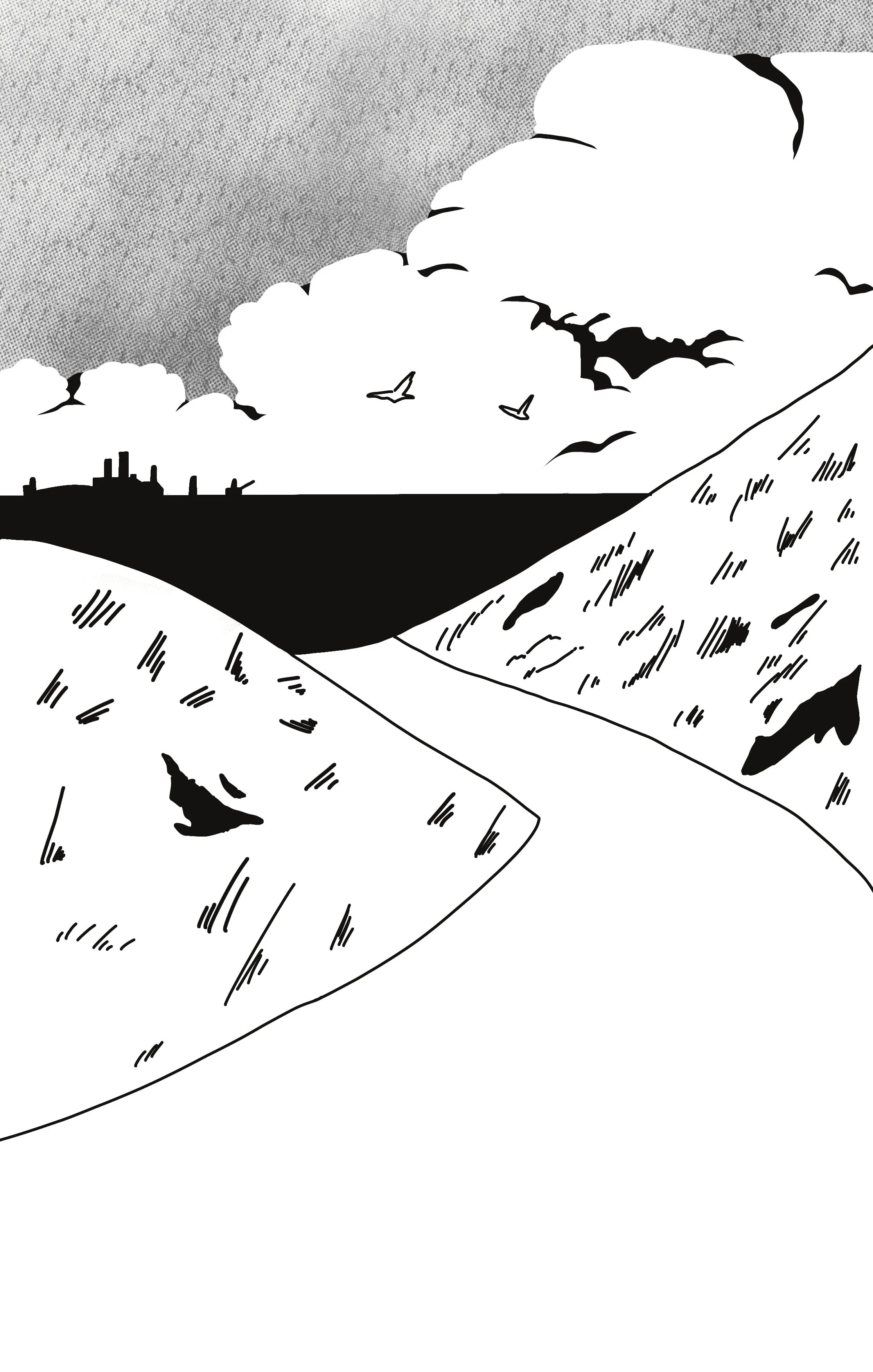 Landschap met een bergpad, heuvels met gras en struiken, vogels in de lucht en een horizon met gebouwen en een wolkenlucht.