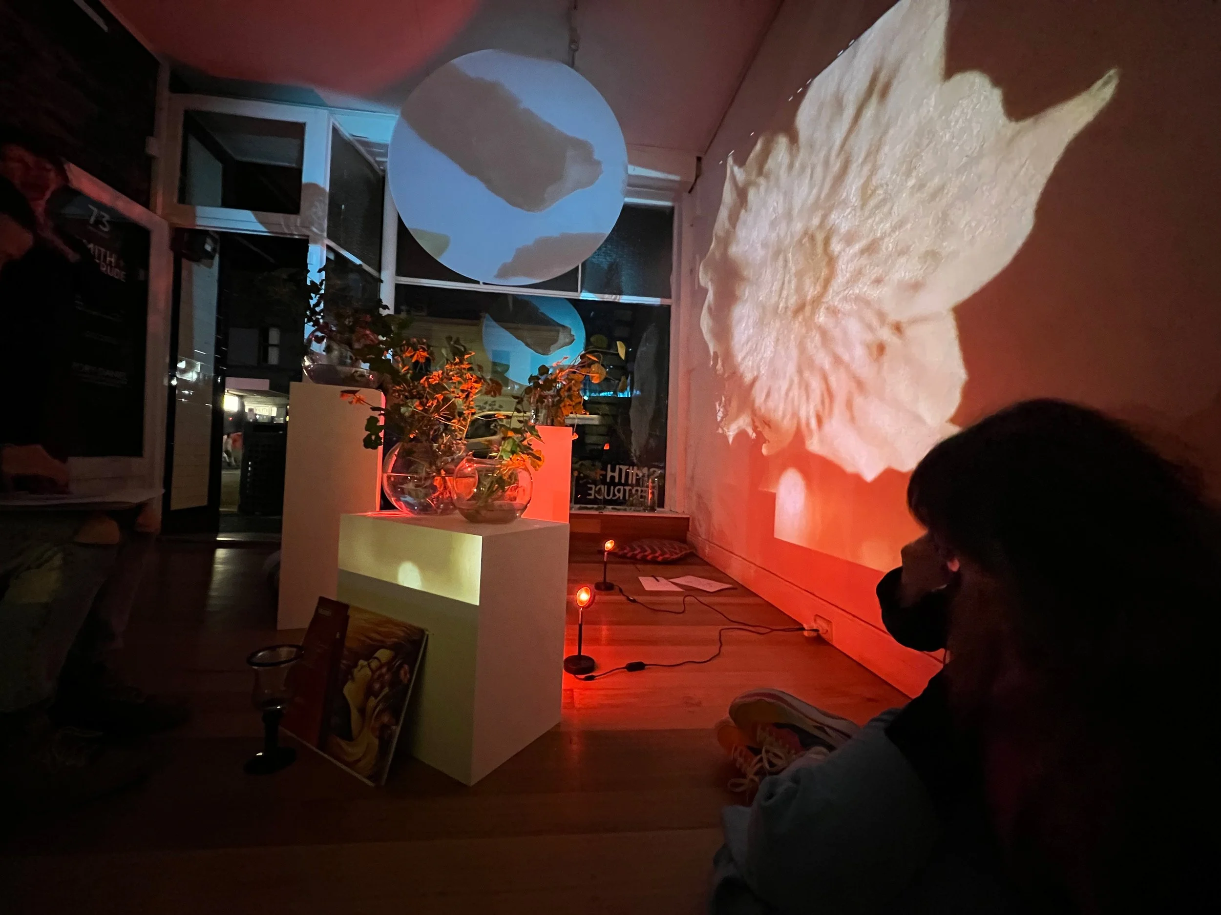 PLANTSALON4.jpg