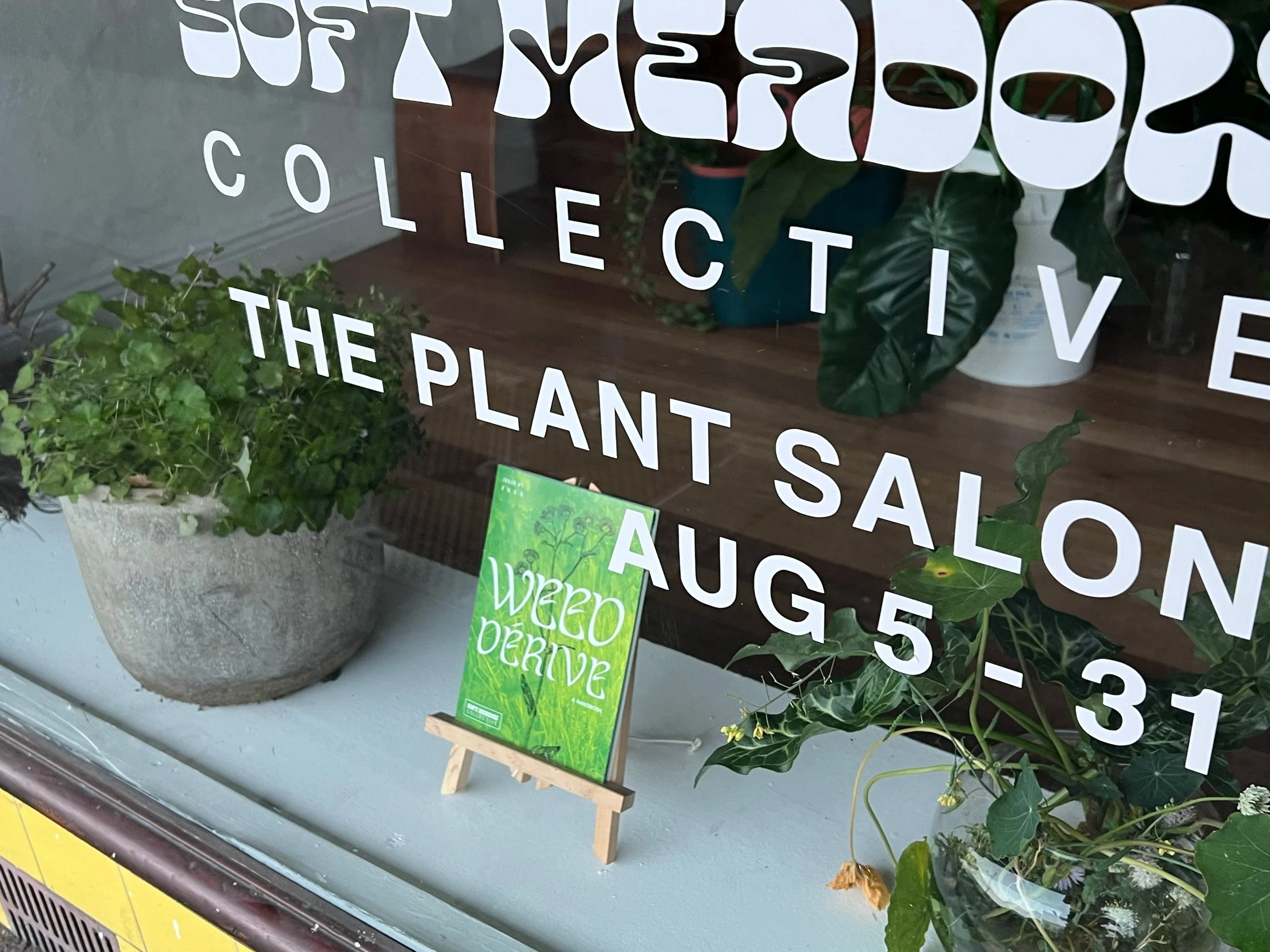 PLANTSALON3.jpg