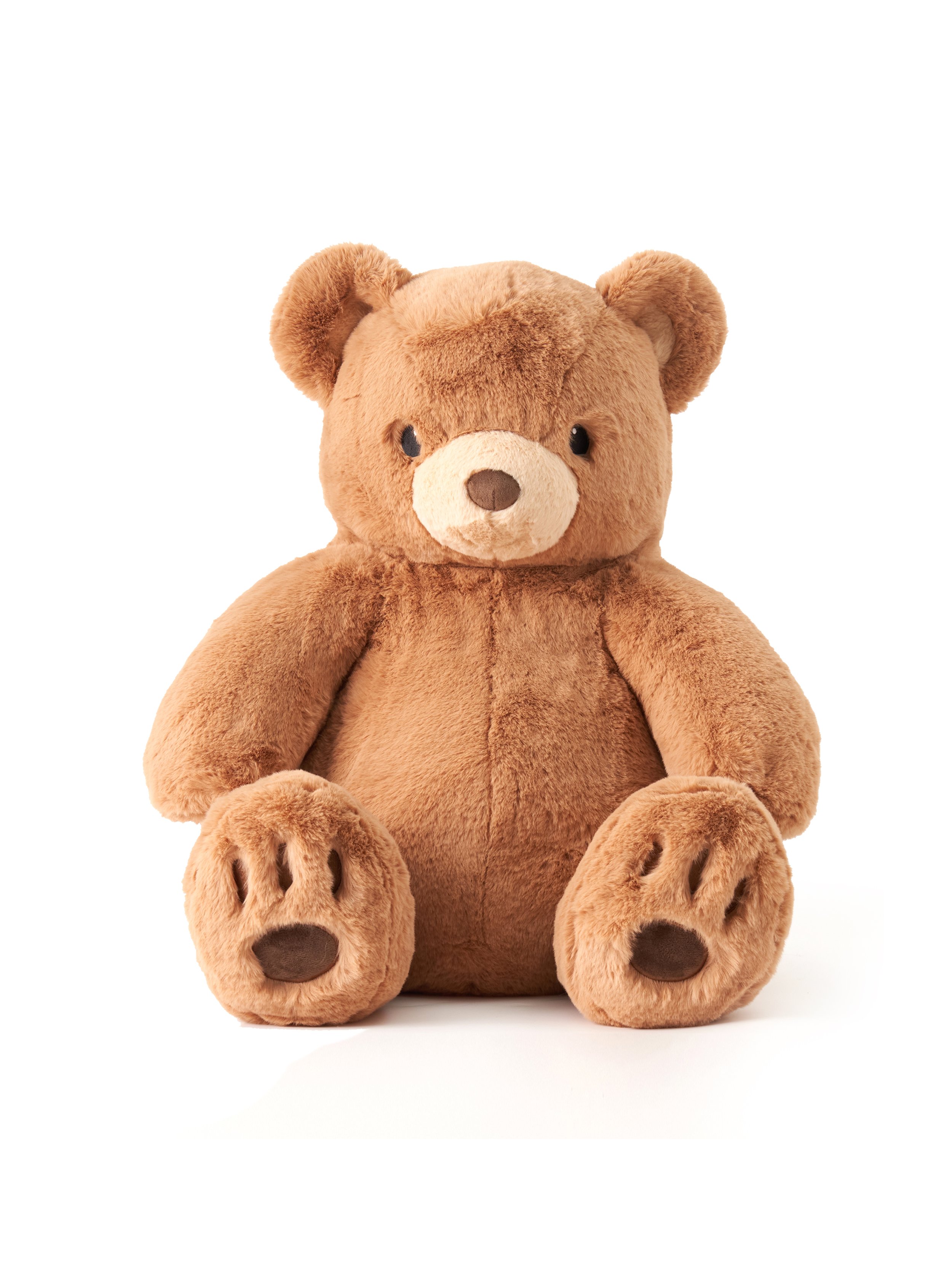 bear with WB-no logo 2.jpg