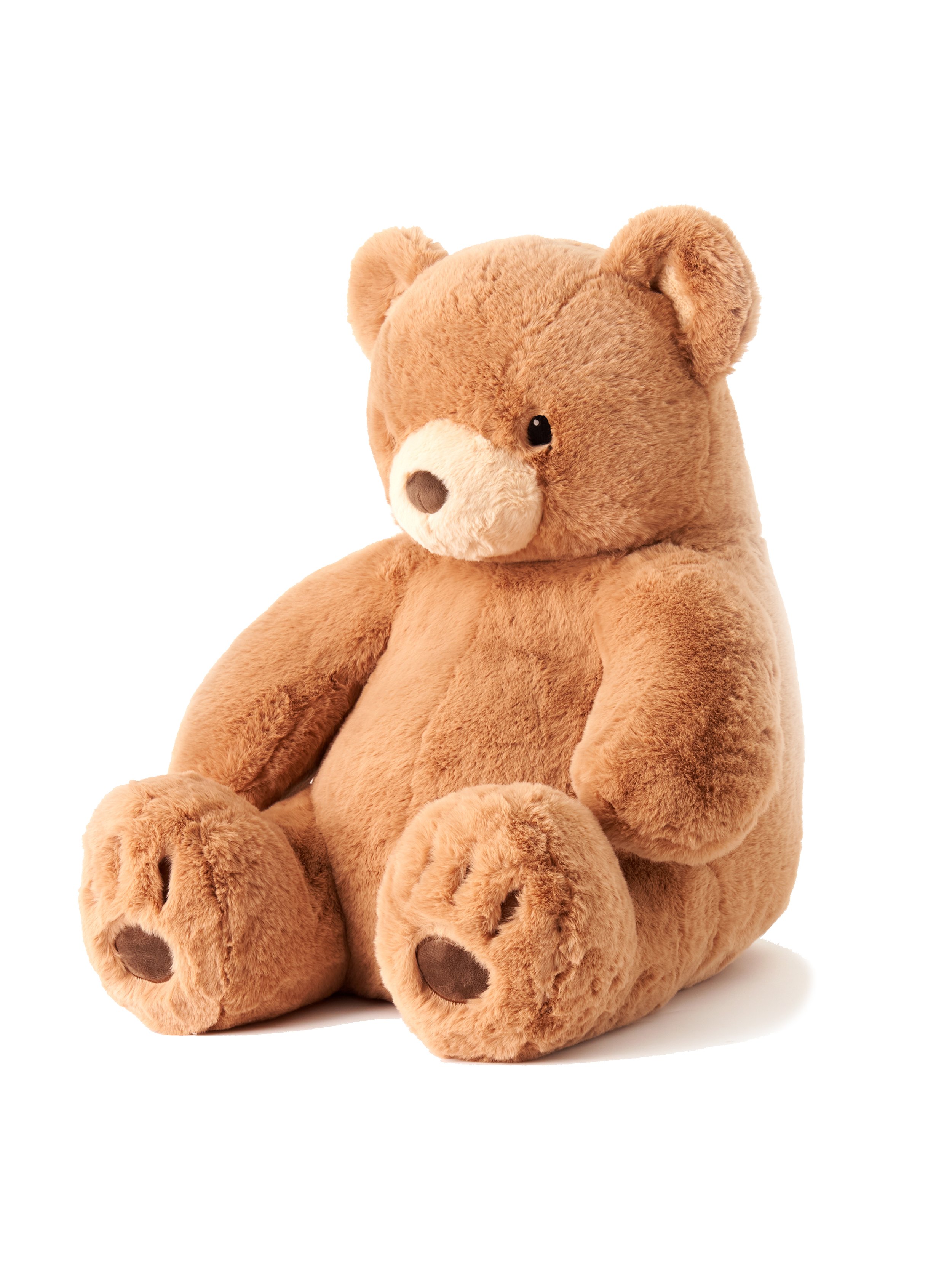 bear with WB-no logo1.jpg