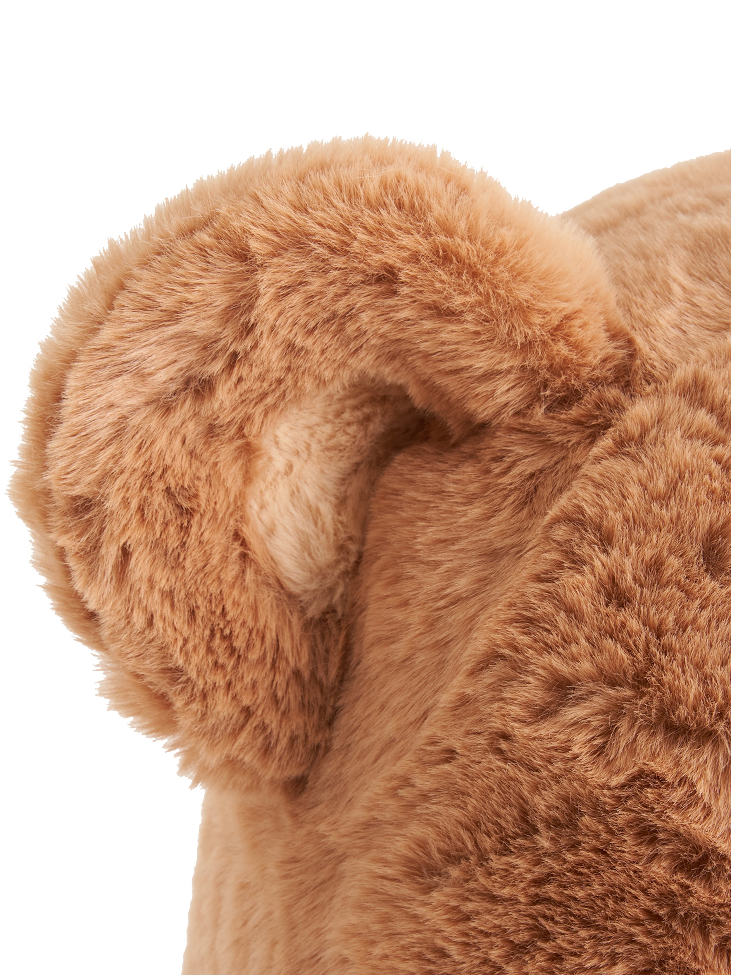 bear with WB-no logo4.jpg