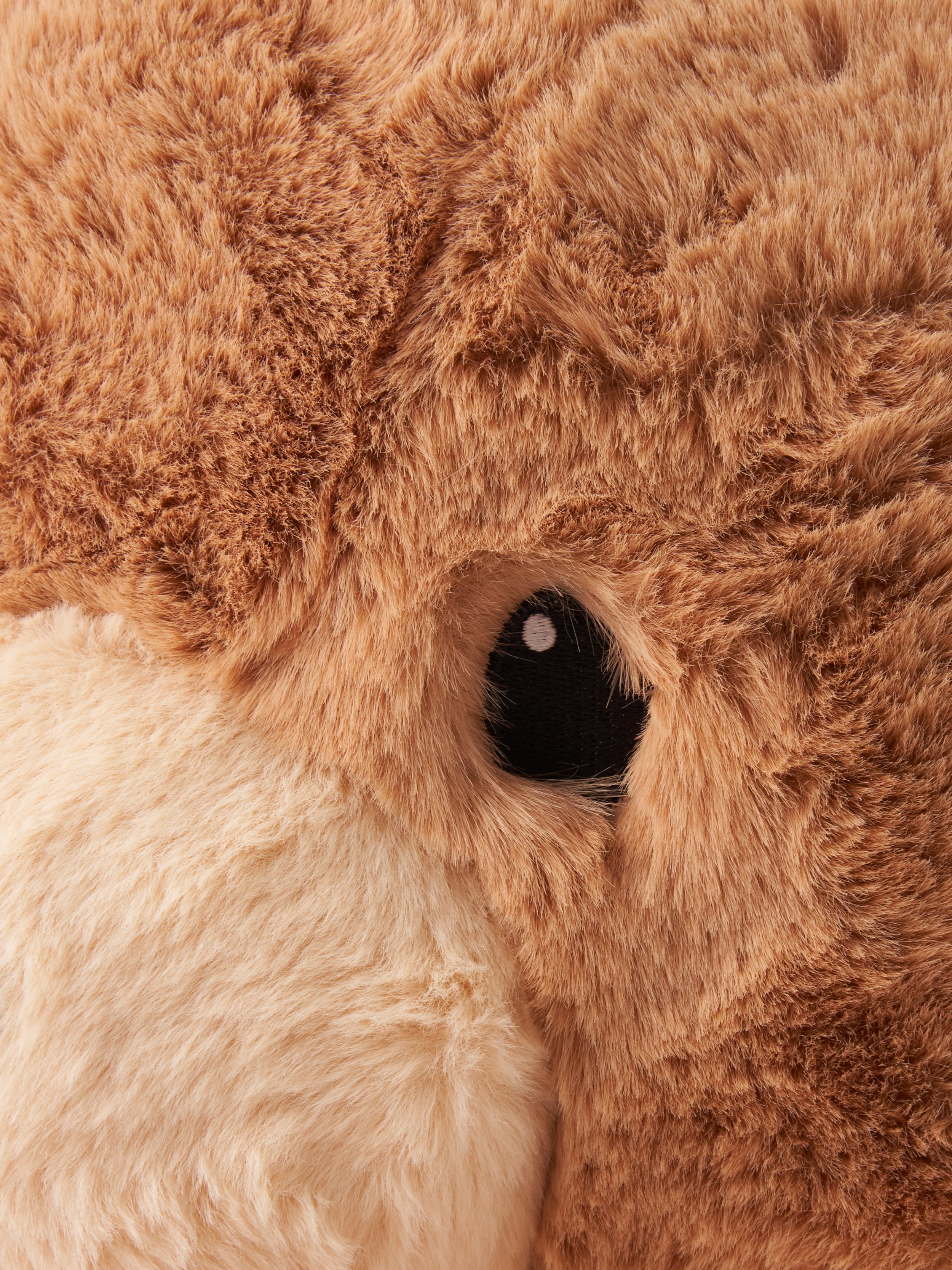 bear with WB-no logo 8.jpg