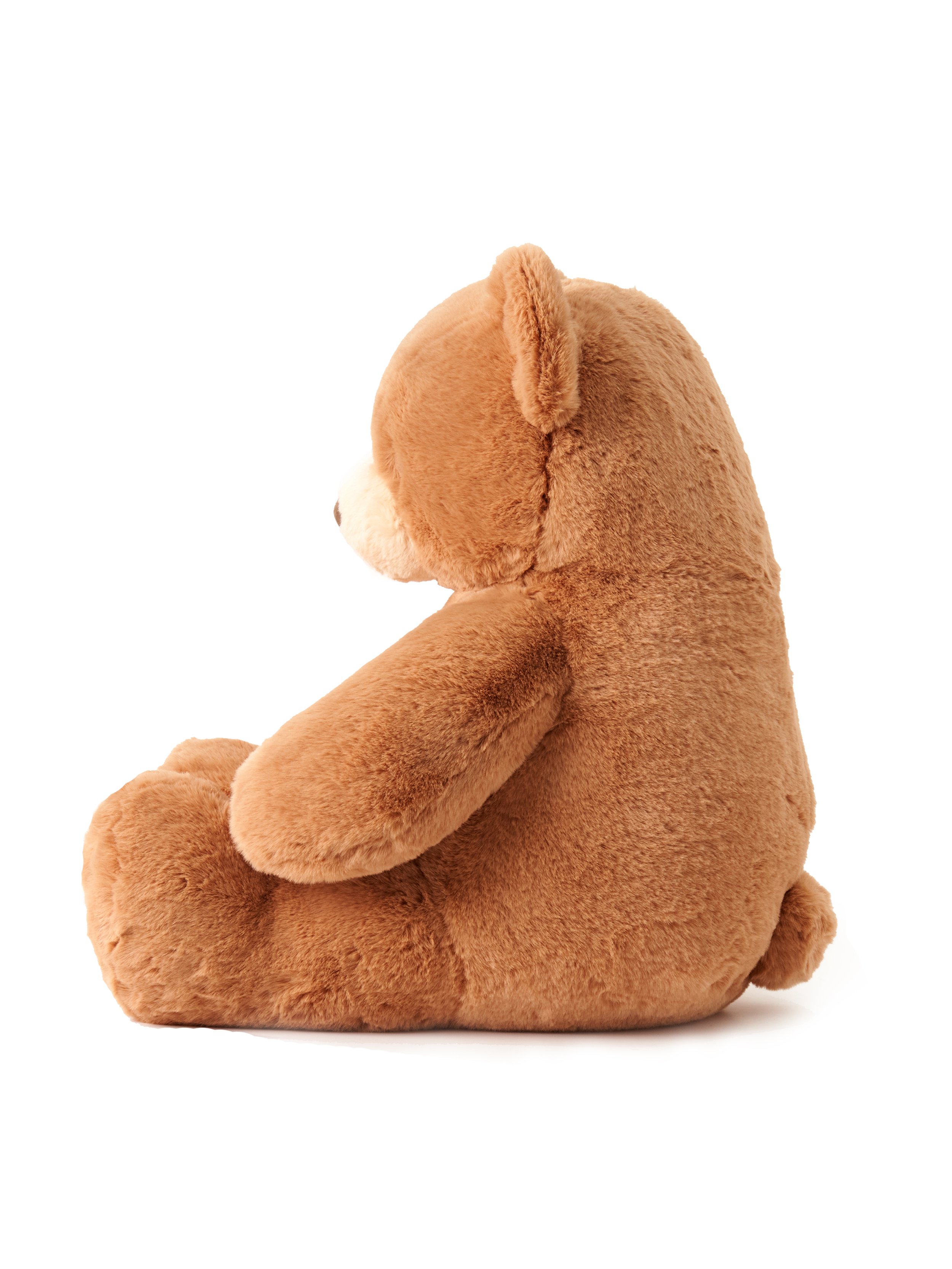 bear with WB-no logo 3.jpg
