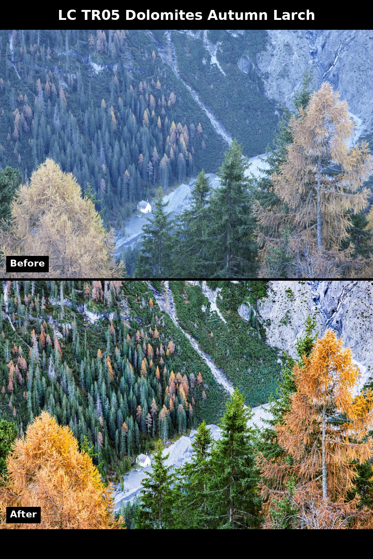 Before and after: TR05 Dolomites Autumn Larch preset