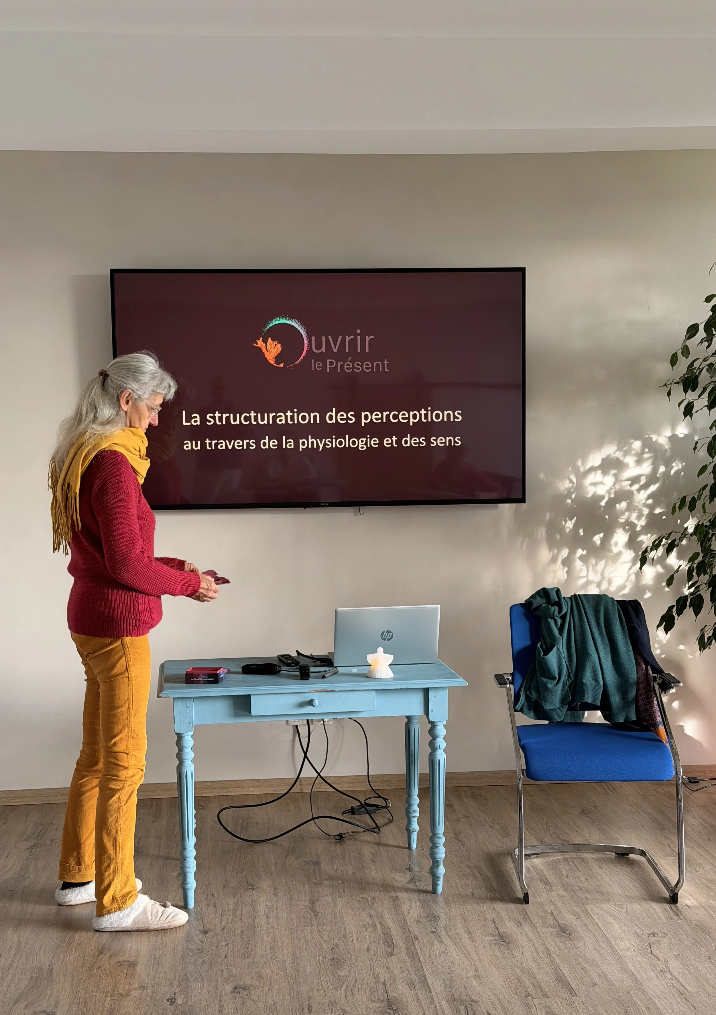 Photo structuration des perceptions 1.jpg