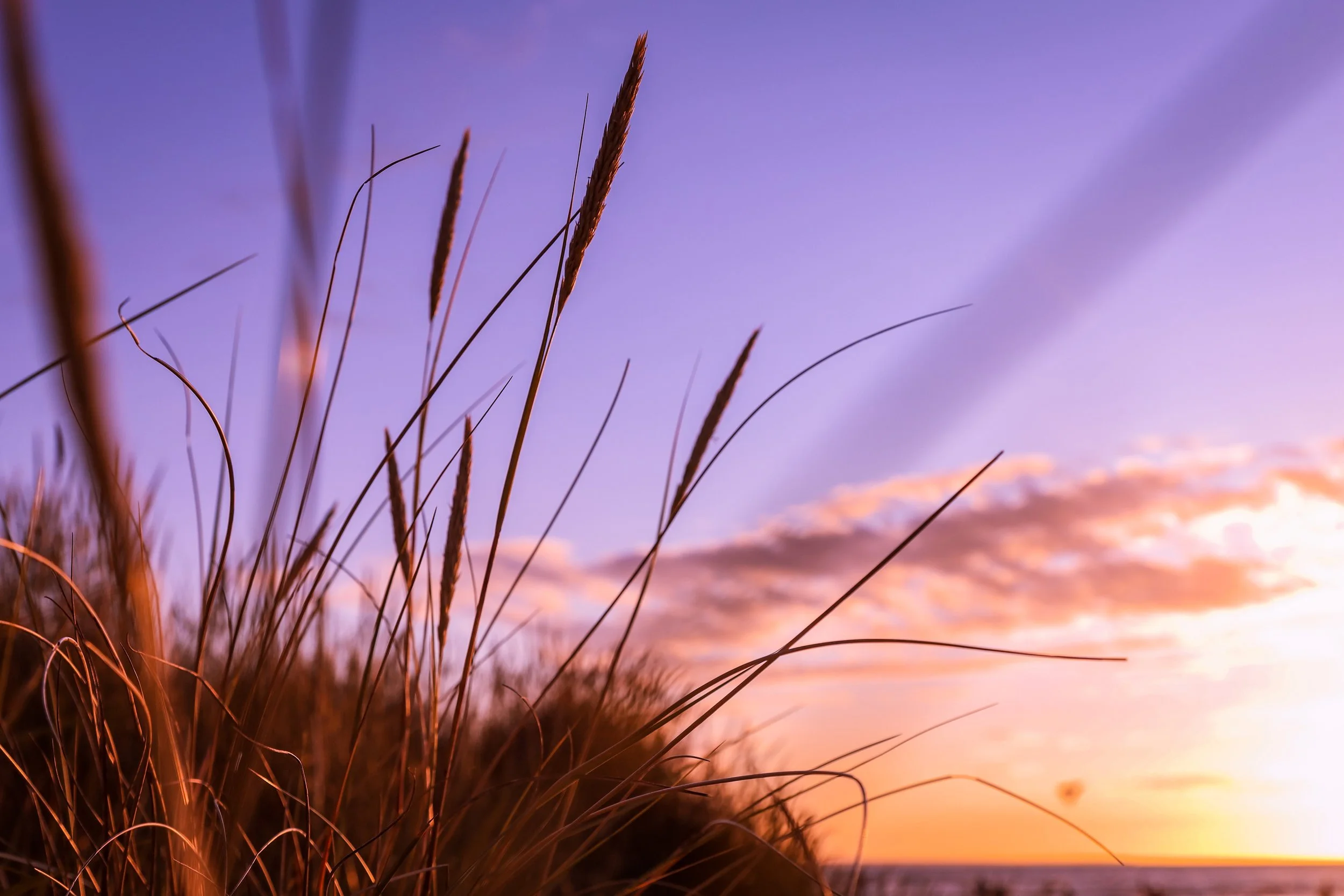 sunset.jpg