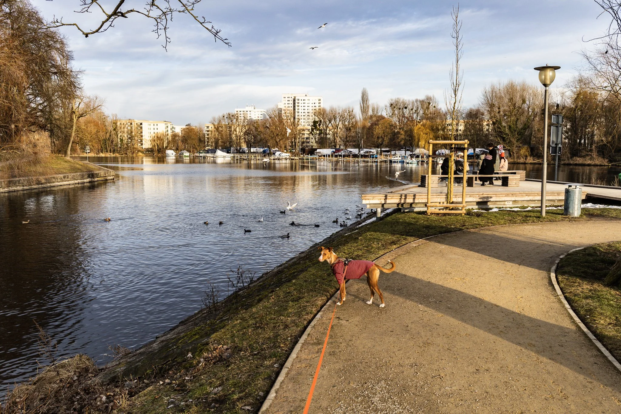 Potsdam im Februar-12.jpg