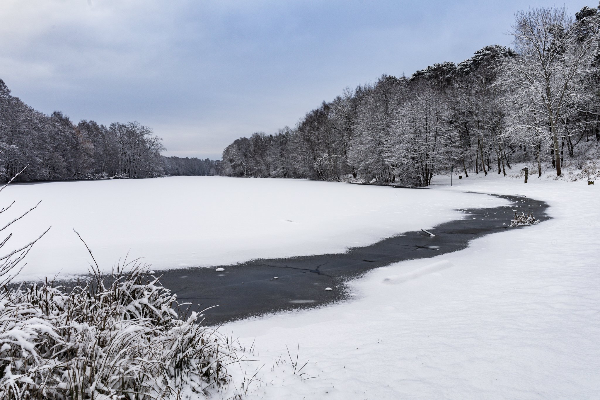 Winter Nuthe-Urstromtal-2025-09.jpg