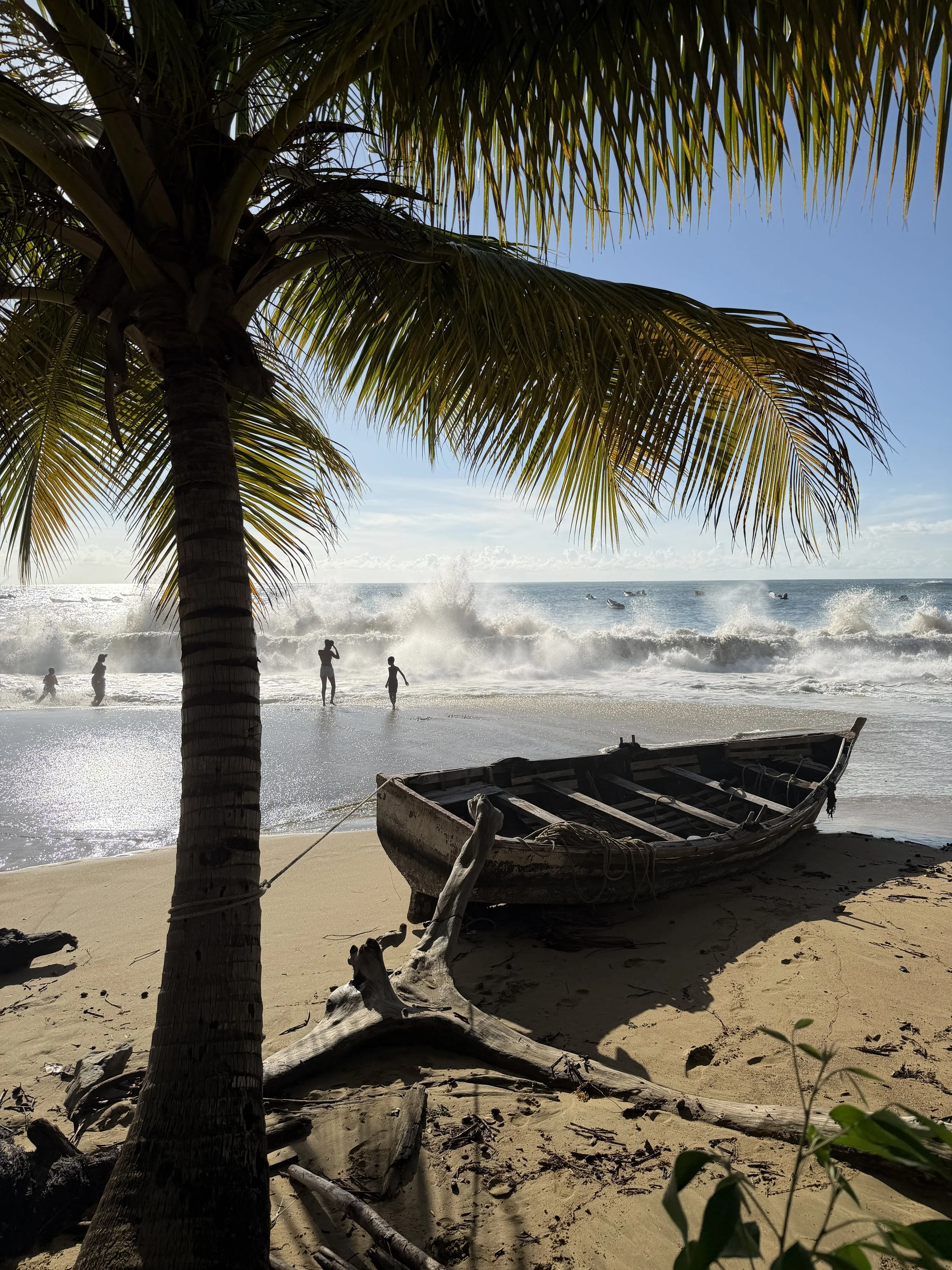 Blue mind and the science of calm