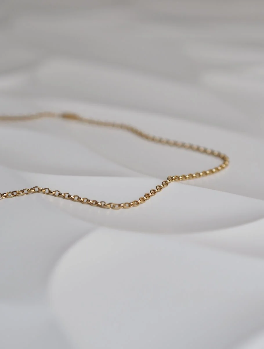 Gold Vermeil Belcher Chain Necklace