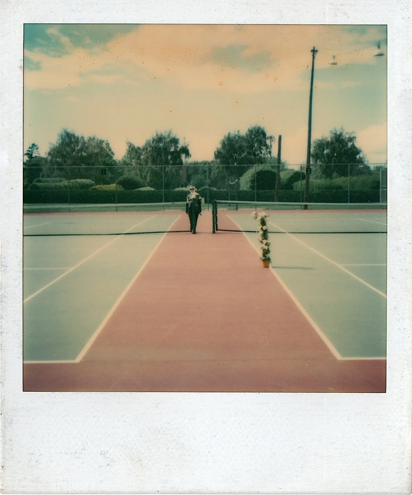 Chiquita et rosier habilement camouflés dans le paysage, (Chiquita and rose bush cleverly camouflaged in the landscape) 1977, Polaroid