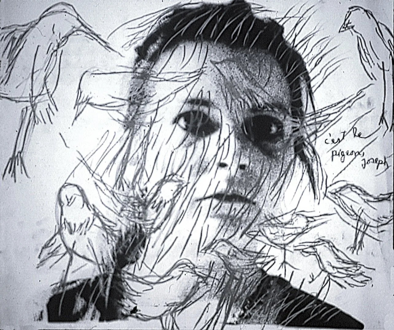 C'est le pigeon, Joseph, 1979, charcoal on silver print, 30x40 cm.