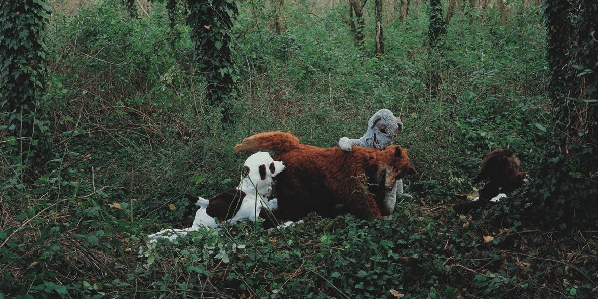 Fox, 2002, Digital print on aluminium behind plexiglass, ed. 3, 100 x 200 cm.