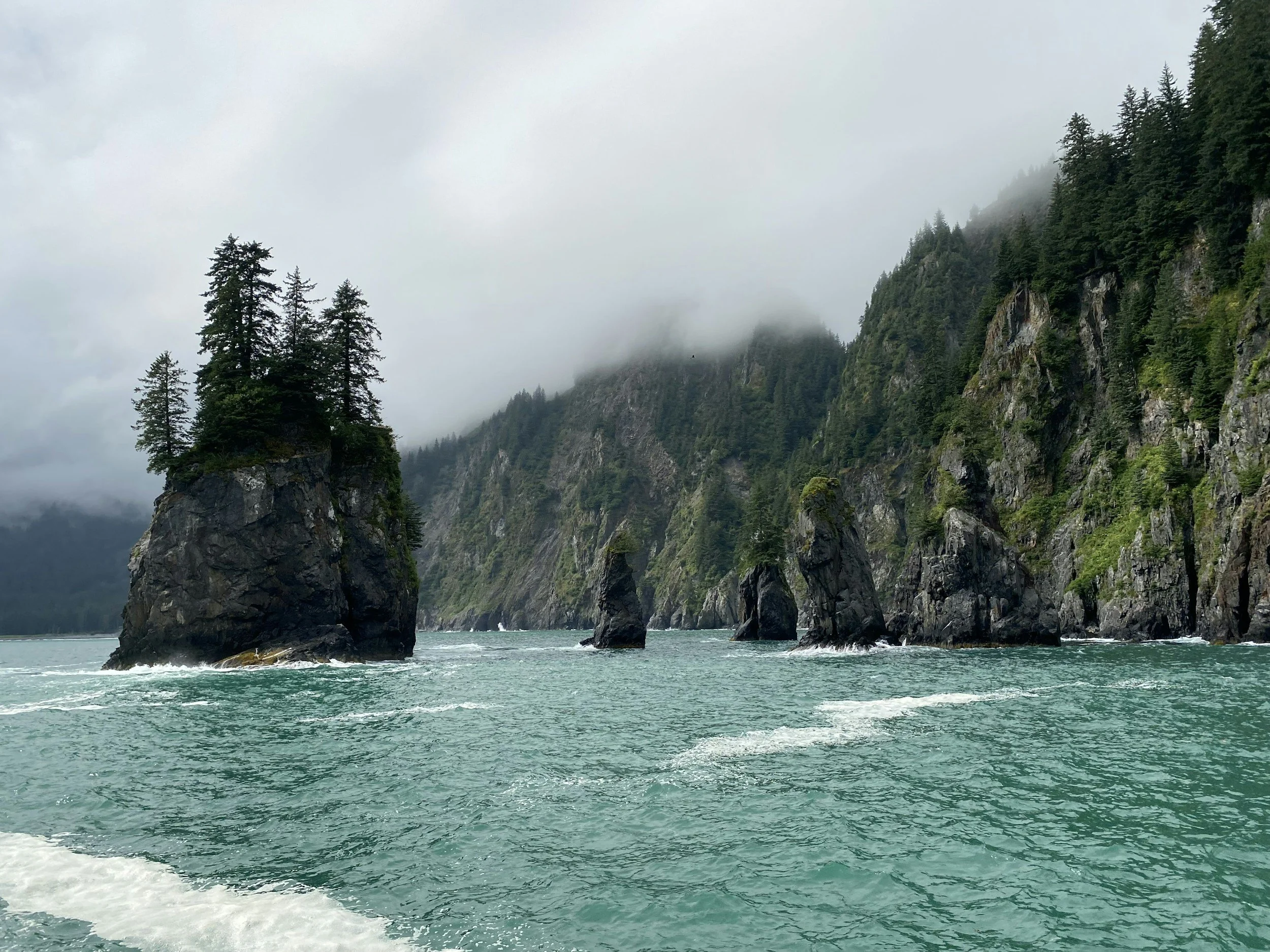 Direct transfer from Seward or Whittier to Denali