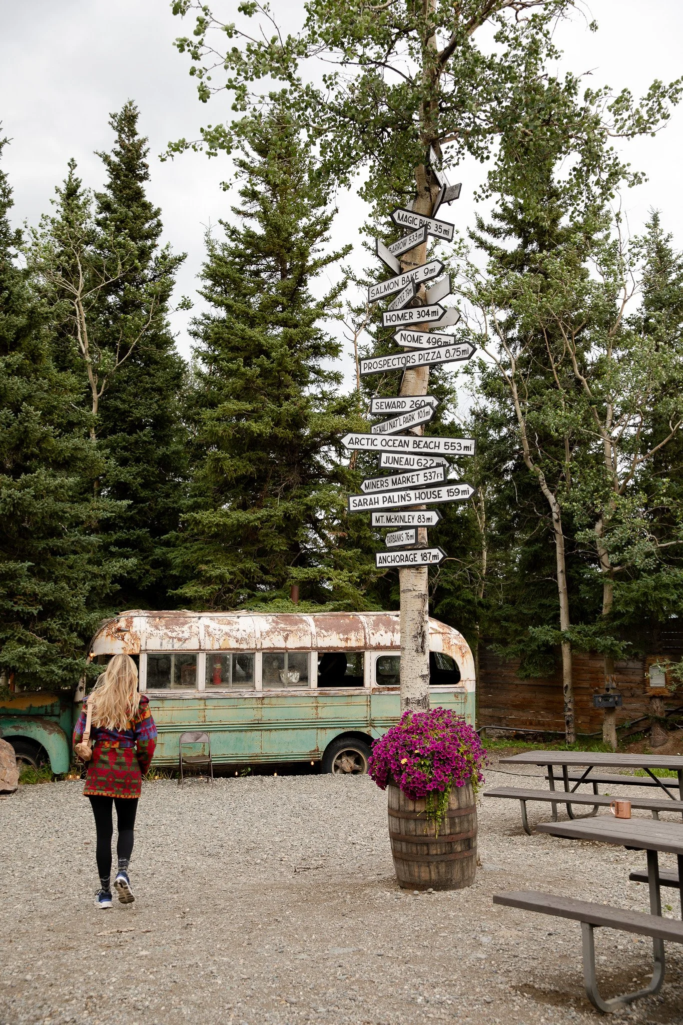 Alaska city transfer transportation connecting Denali with Anchorage, Fairbanks, and other Alaska destinations