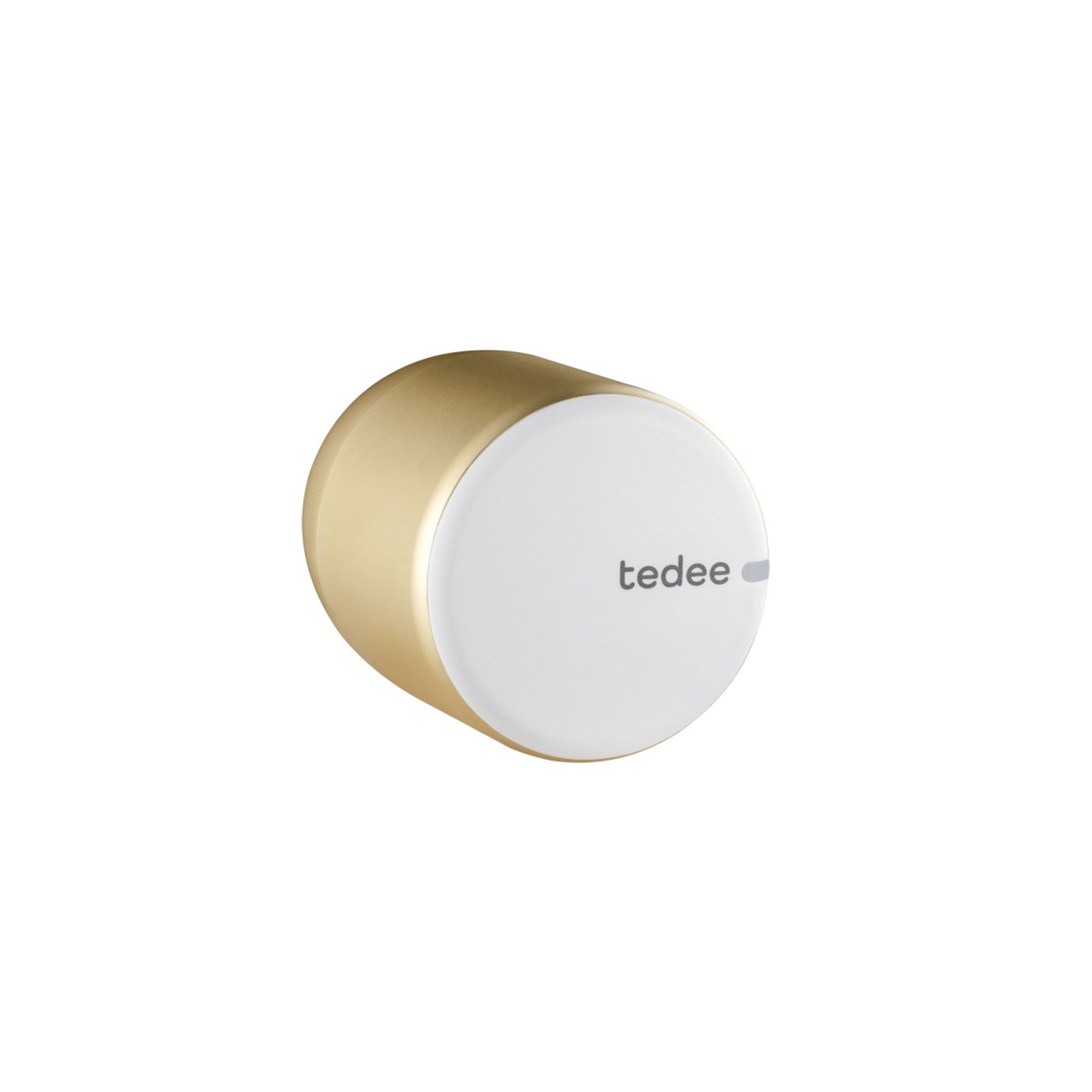 Cylinder_Gold.png