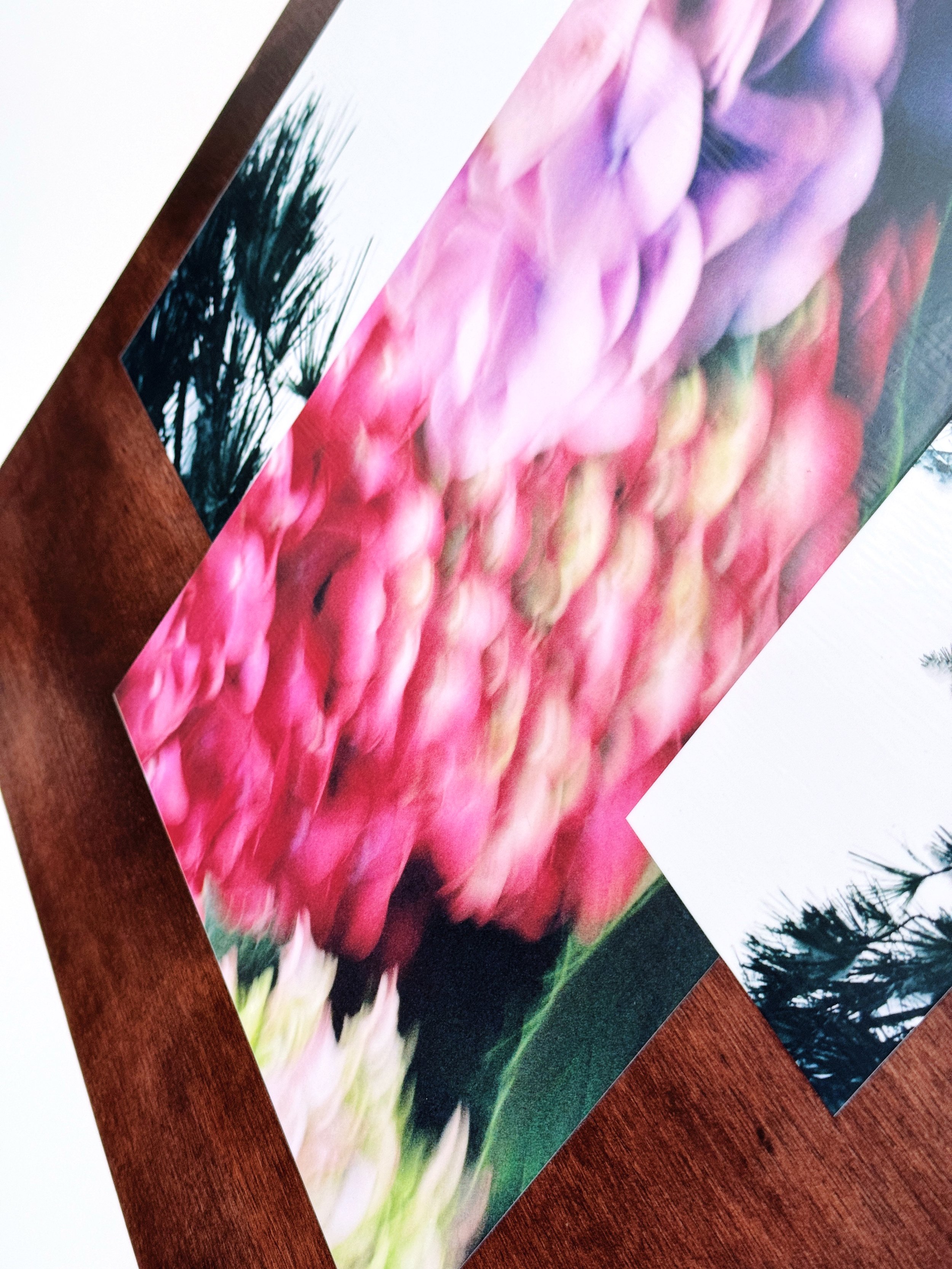 perspective_shift-detail-WB.jpg