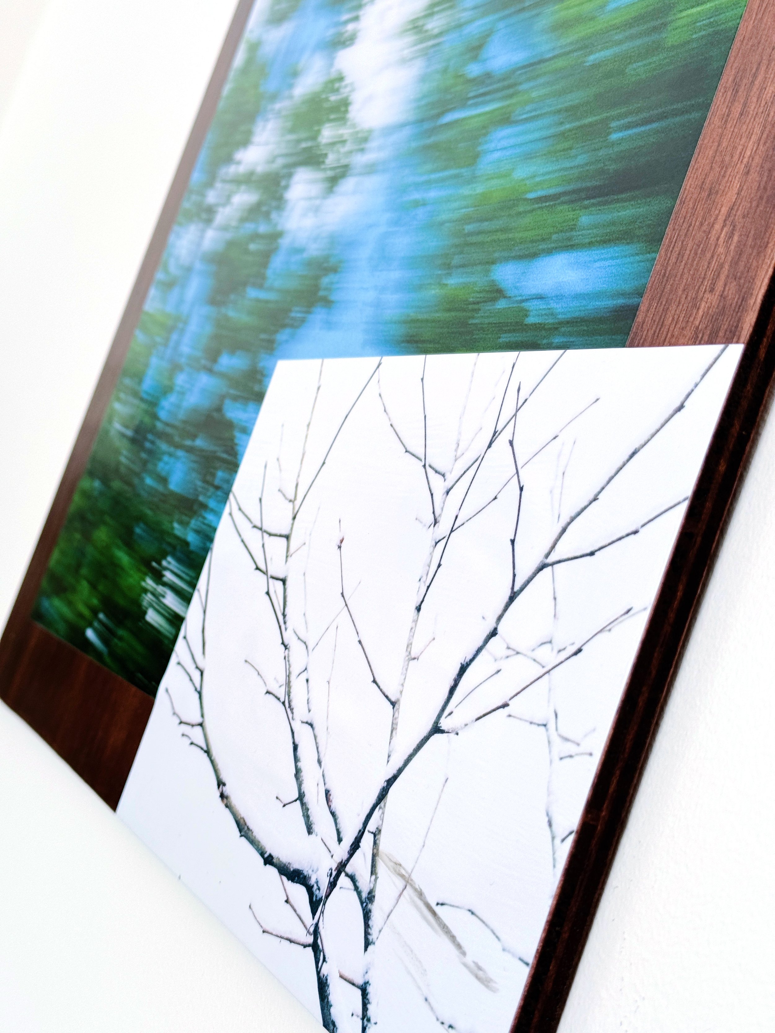 trust_the_process-detail-WB.jpg
