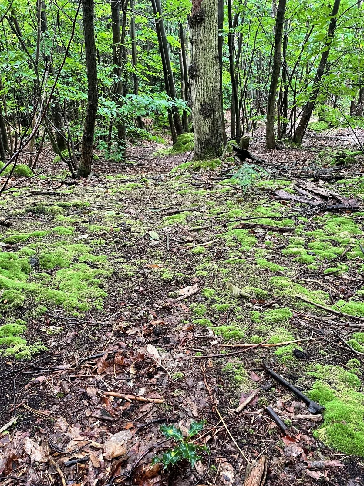 Jim Jones, narrative ecologist: Mapping My Way In