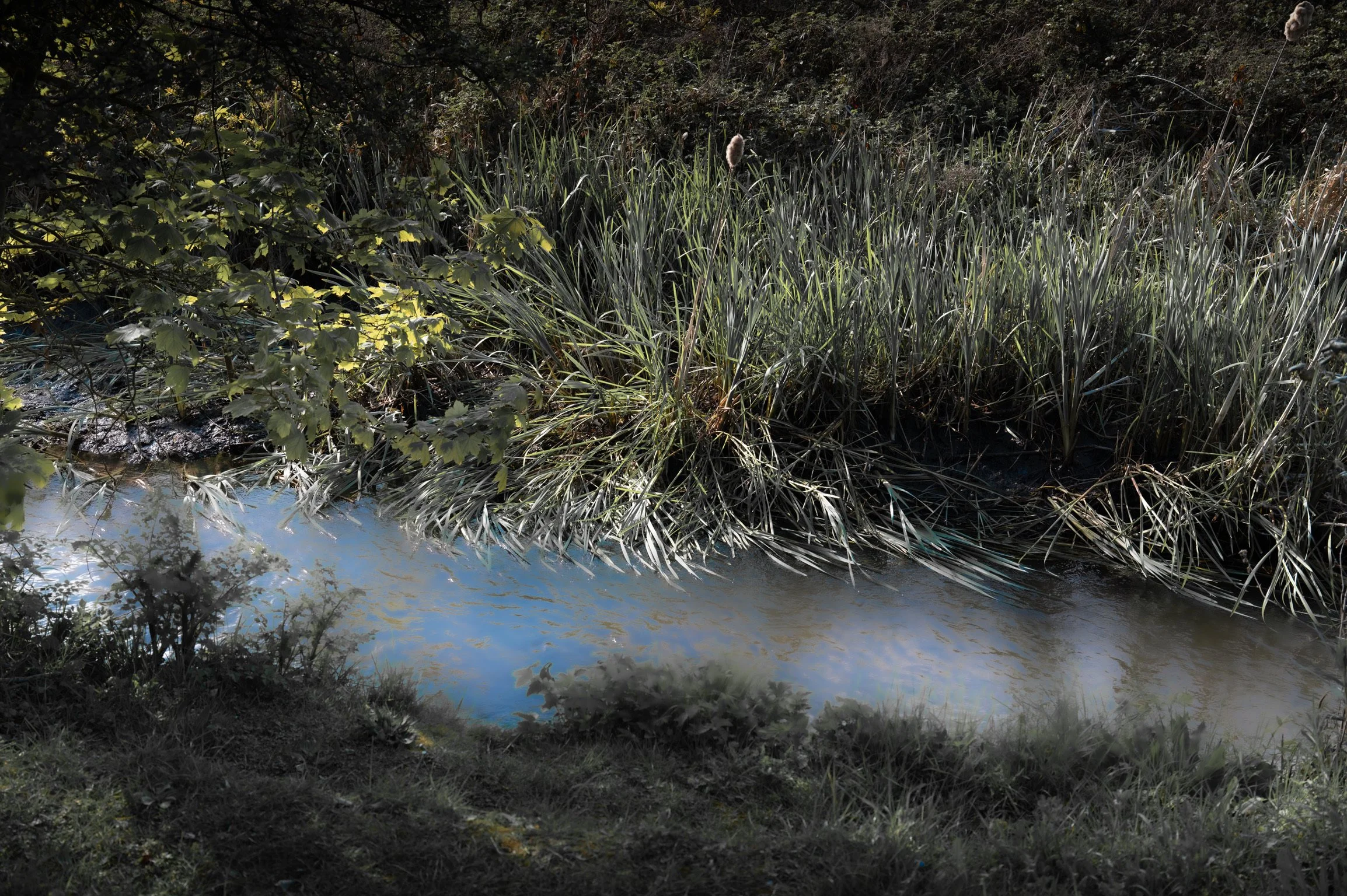 A River Runs Through Us