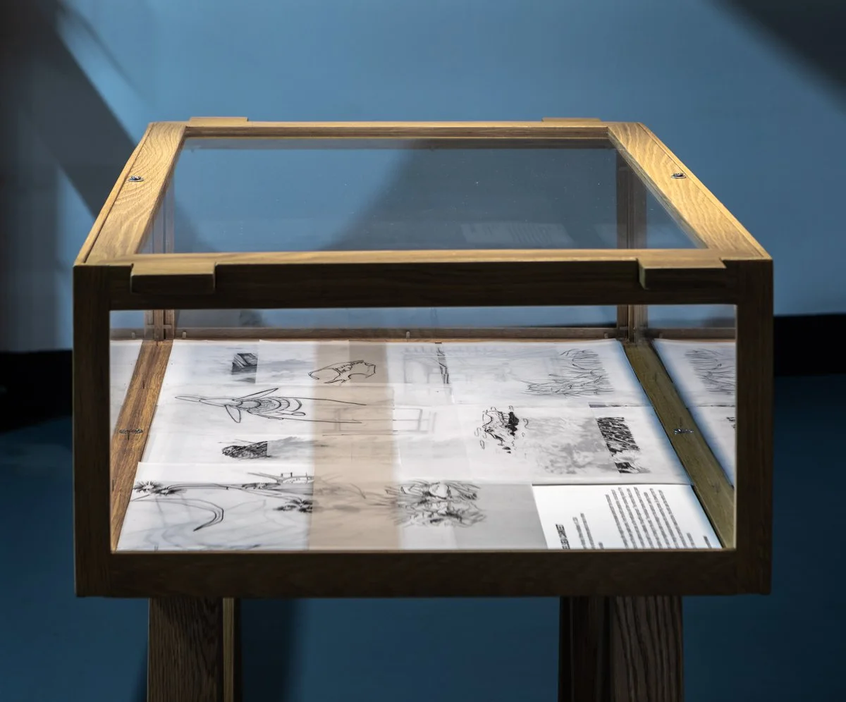 Instillation View, Between Worlds (vitrine), 2024, photograph courtesy of Andrew Willis. 