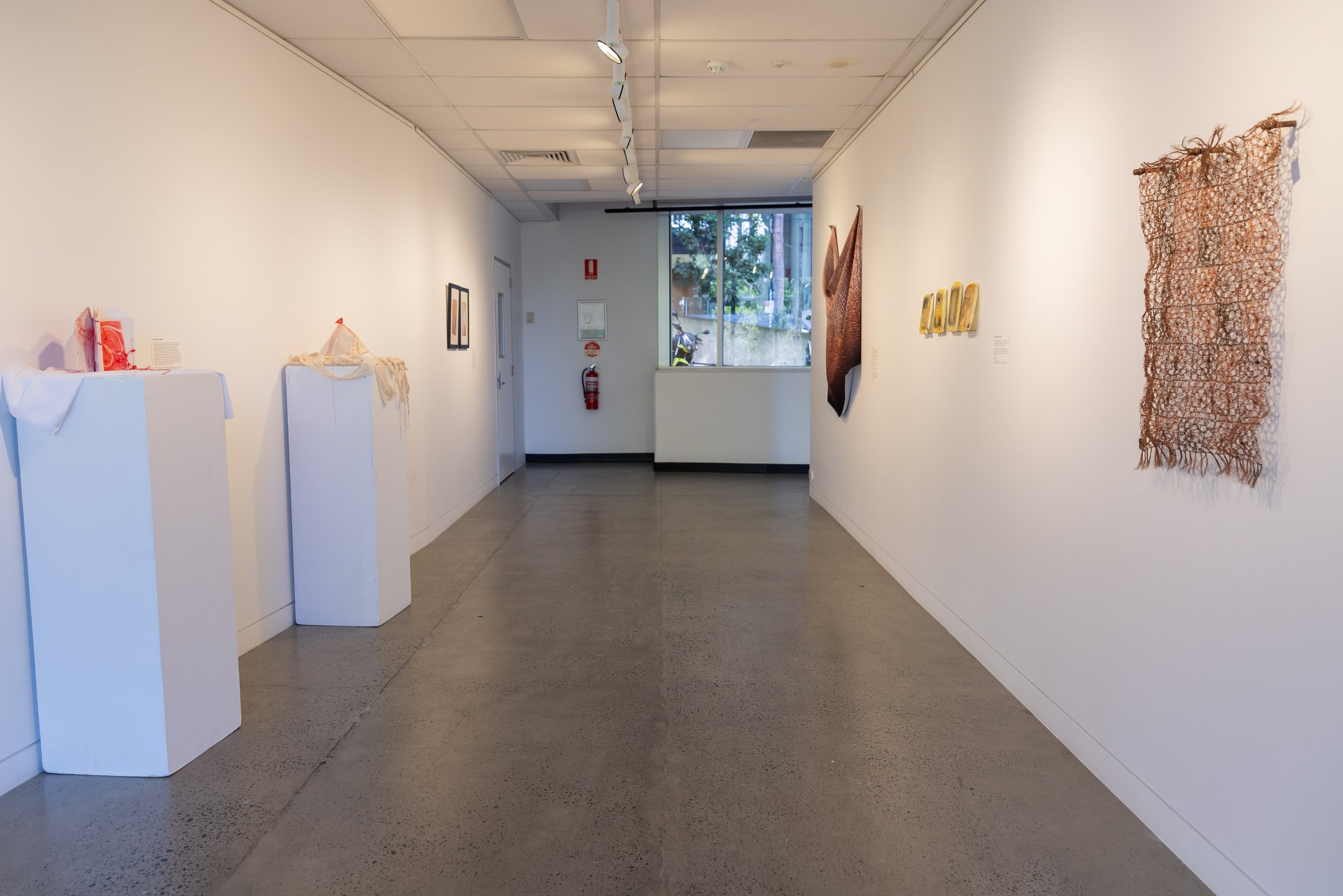 Chelsea Carkeet, Undergrowth Exhibition View (detail) 2024. Photo by Robyn Wood