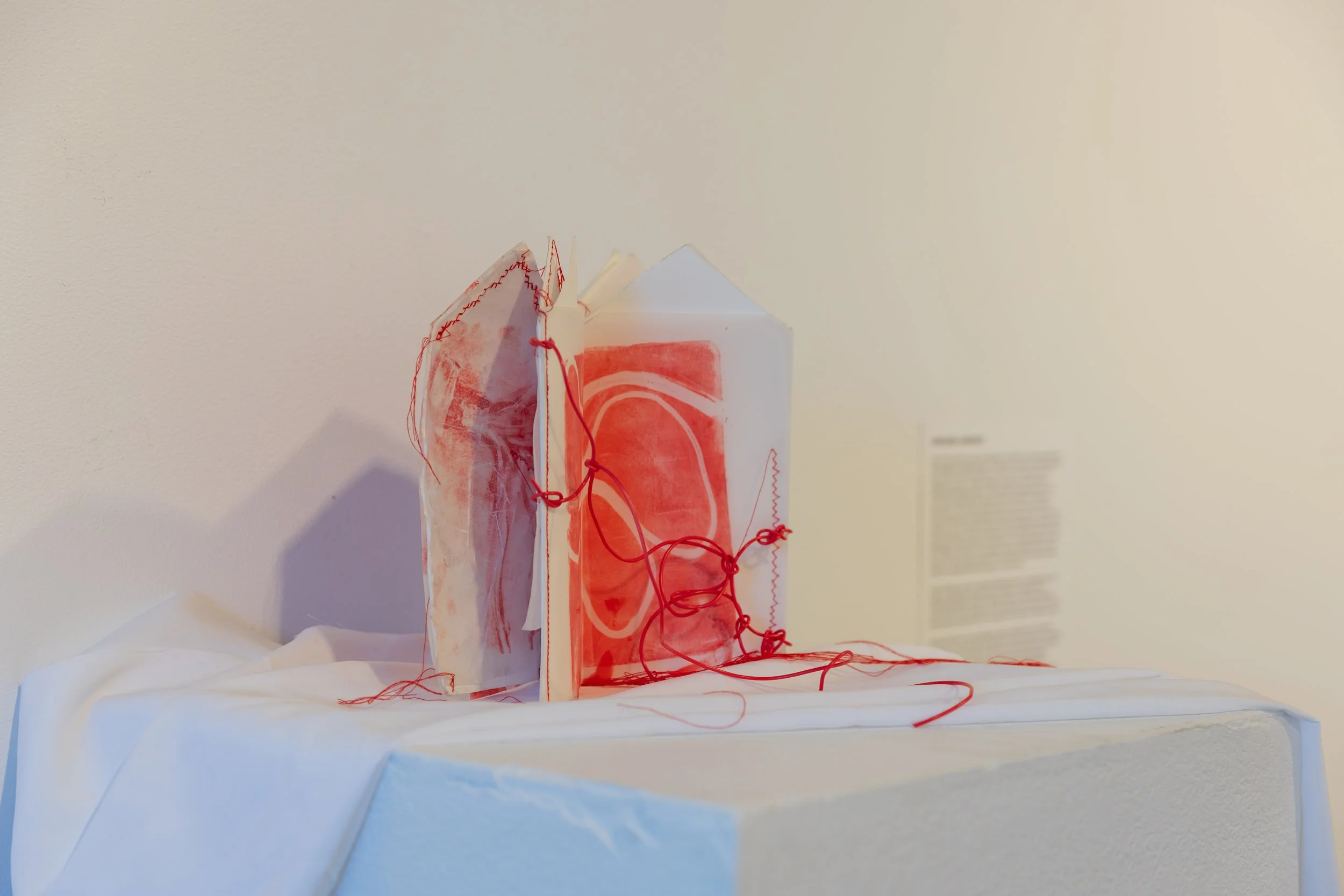 Chelsea Carkeet, Just a Few More Seconds, 2024, Watercolour paper, rice glue, red cotton thread, synthetic polymer, trace paper, electrical wire, 22cm x 21cm. Photo by Robyn Wood. 