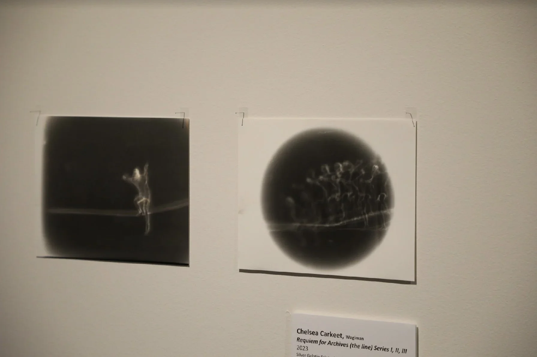 Chelsea Carkeet, Requiem for Archives (the line) Series I and II, 2023, Silver Gelatin Print, 20.32cm x 25.4cm, photo by Christopher Bentley. 