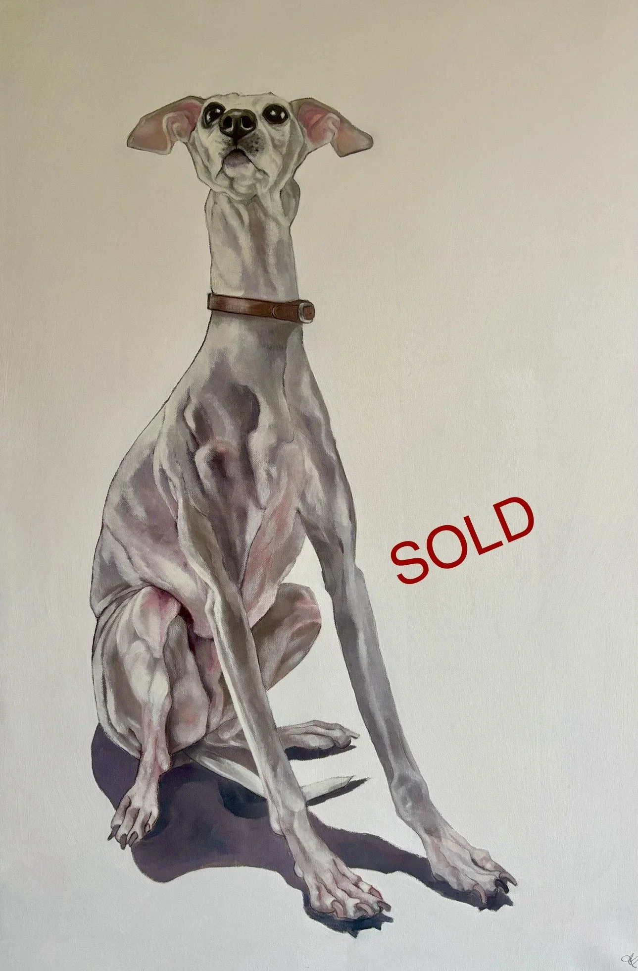 Burlington Bertie SOLD