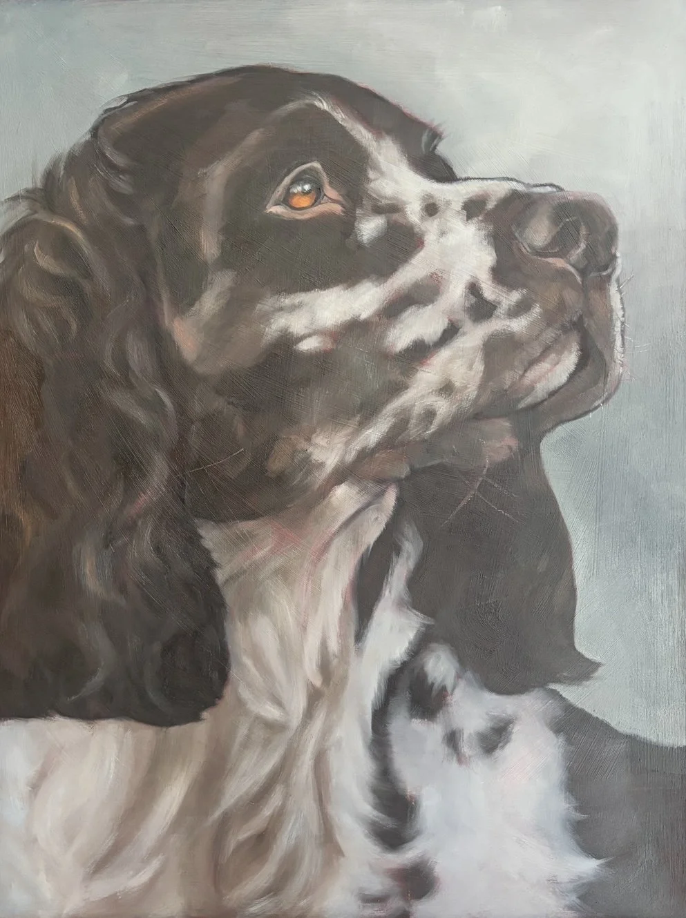 The Watcher 40x30cm £695.00