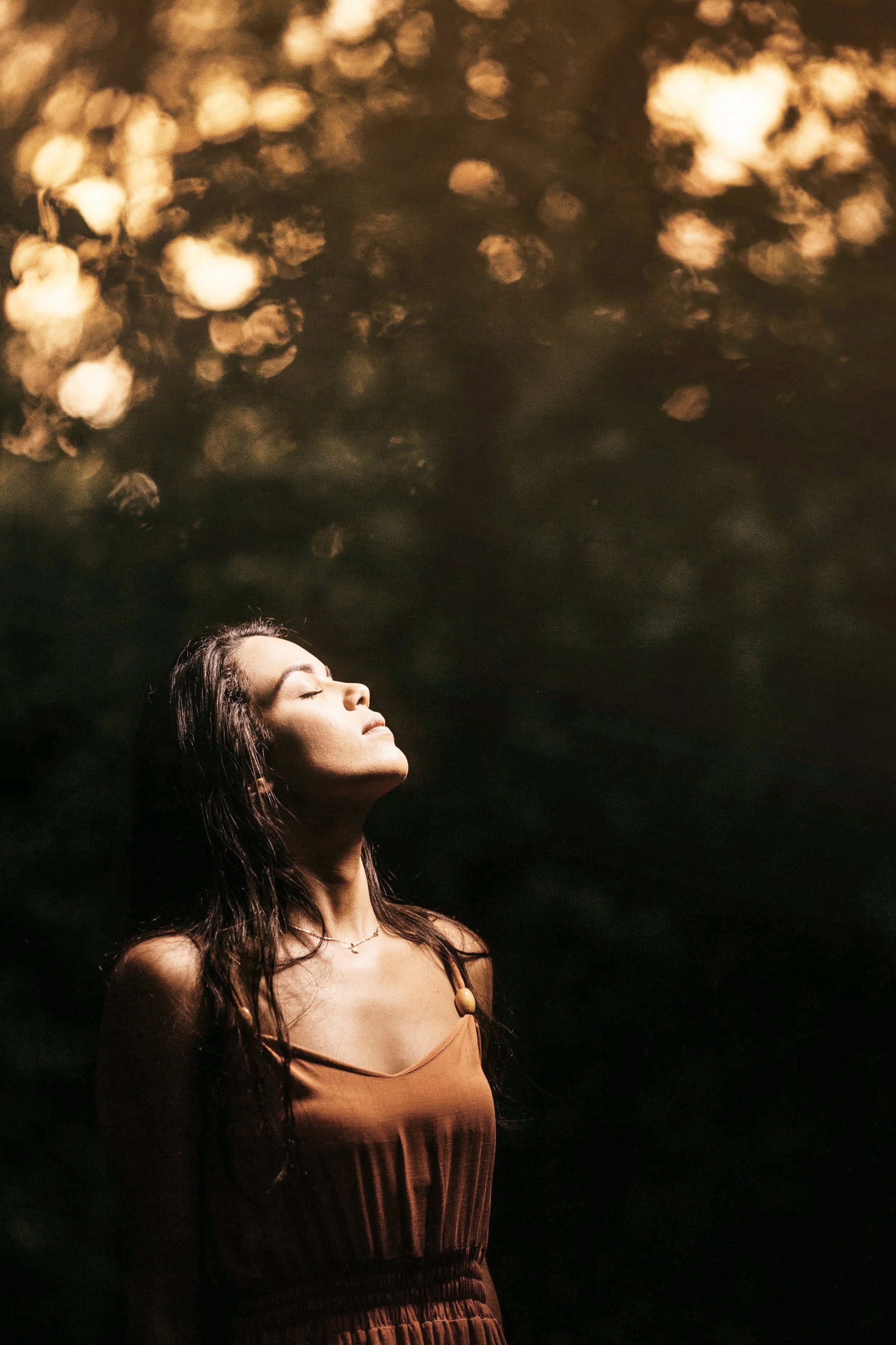 Woman in a brown dress looking upward beneath warm, glowing tree foliage
