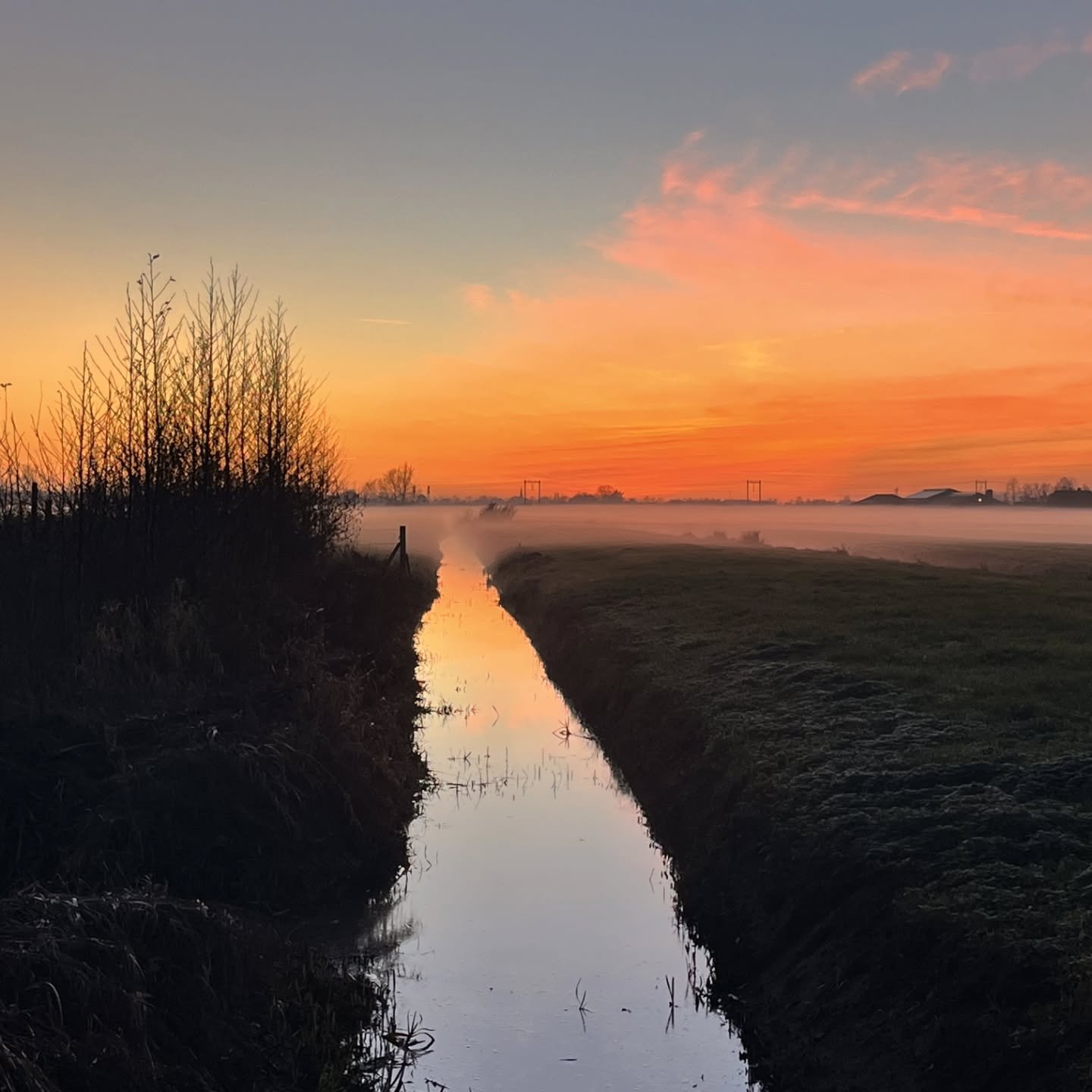 🌱 Wat een jaar hebben we met z'n allen beleefd! 💫
Bouwen, samen klussen, genieten en mogen groeien met elkaar. 
We zijn super trots op wat we samen hebben neergezet 💚
Swipe voor al het moois! 👉