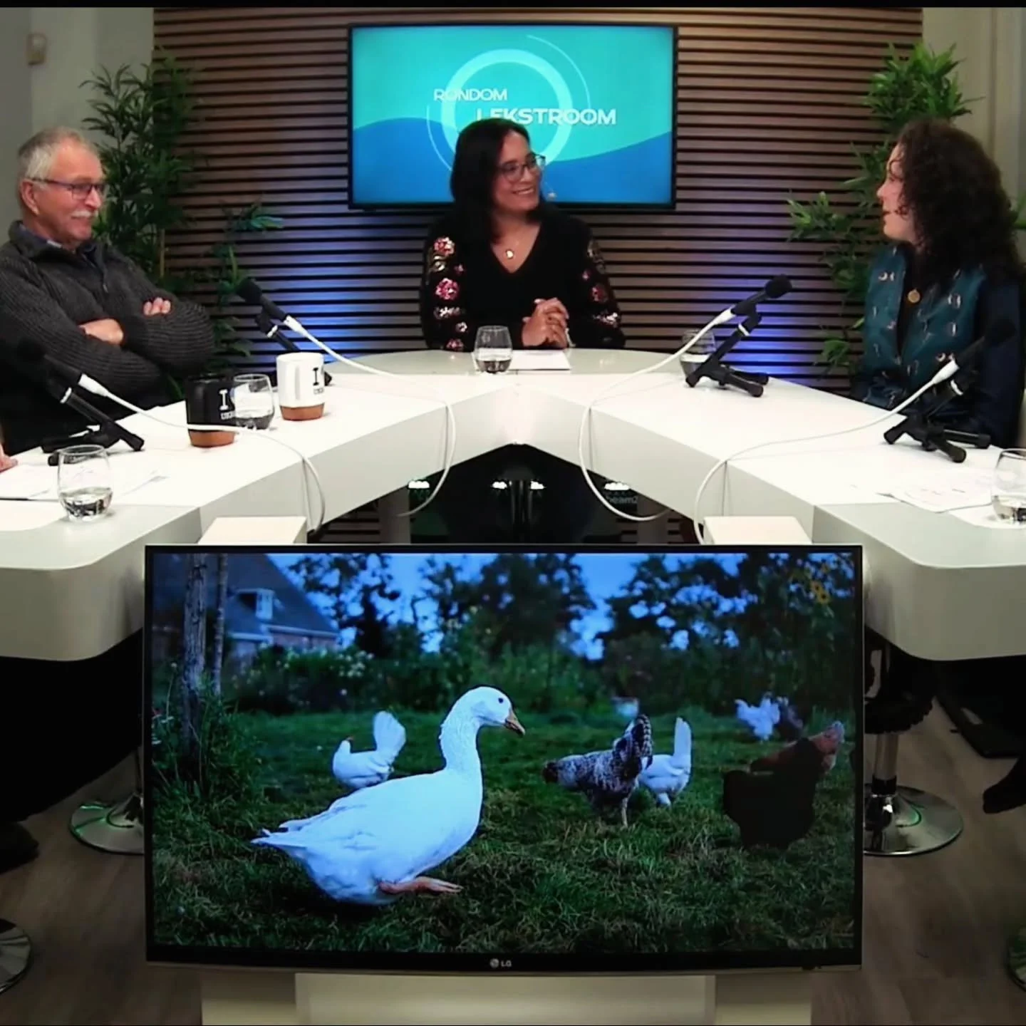 Ons verhaal in de media✨

Onze bewoner Roos van Rhijn was te gast bij Rondom Lekstroom van RTV Lekstroom en vertelt daarin over het samen wonen en leven op Ons Dorpje Overeind 🌿🍃💚

🎥 Wil je het terugkijken?
Ga naar omroeplekstroom.nl
&rarr; Kijk 