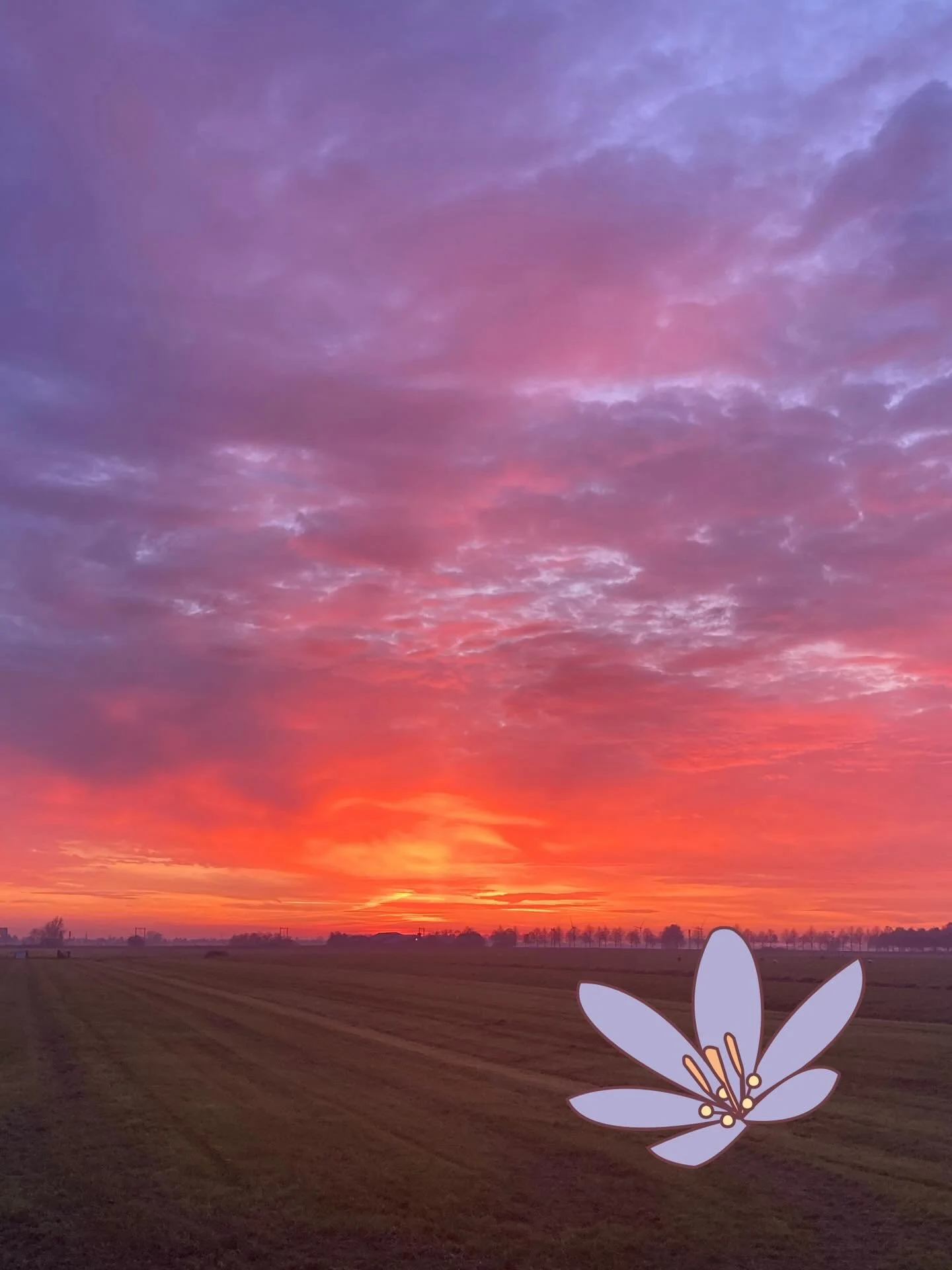 Samen &eacute;&eacute;n uur het licht uit voor de natuur 🌿 Doe vanavond om 20.30 uur ook &eacute;&eacute;n uur lang het licht uit: sluit je aan bij Earth Hour 2026! Wij doen mee! Jij ook?
🕯️ @wwf @earthhourofficial