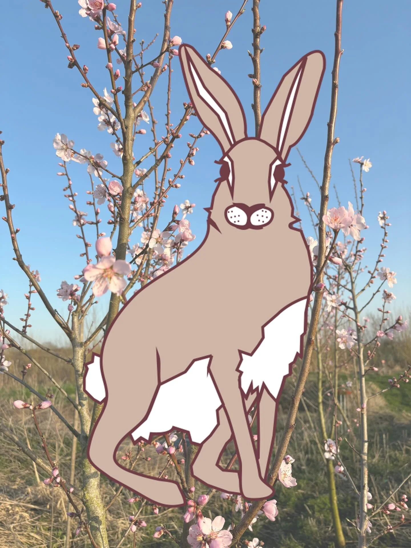 Spot de paashaas en win! 🐰

Maak kans op een overnachting in onze B&amp;B. Winnen? Dit is wat je moet doen:
-Volg onze pagina en like deze post
-Zoek de paashaas op onze website www.onsdorpjeovereind.nl
-Maak hier een screenshot van en mail deze met