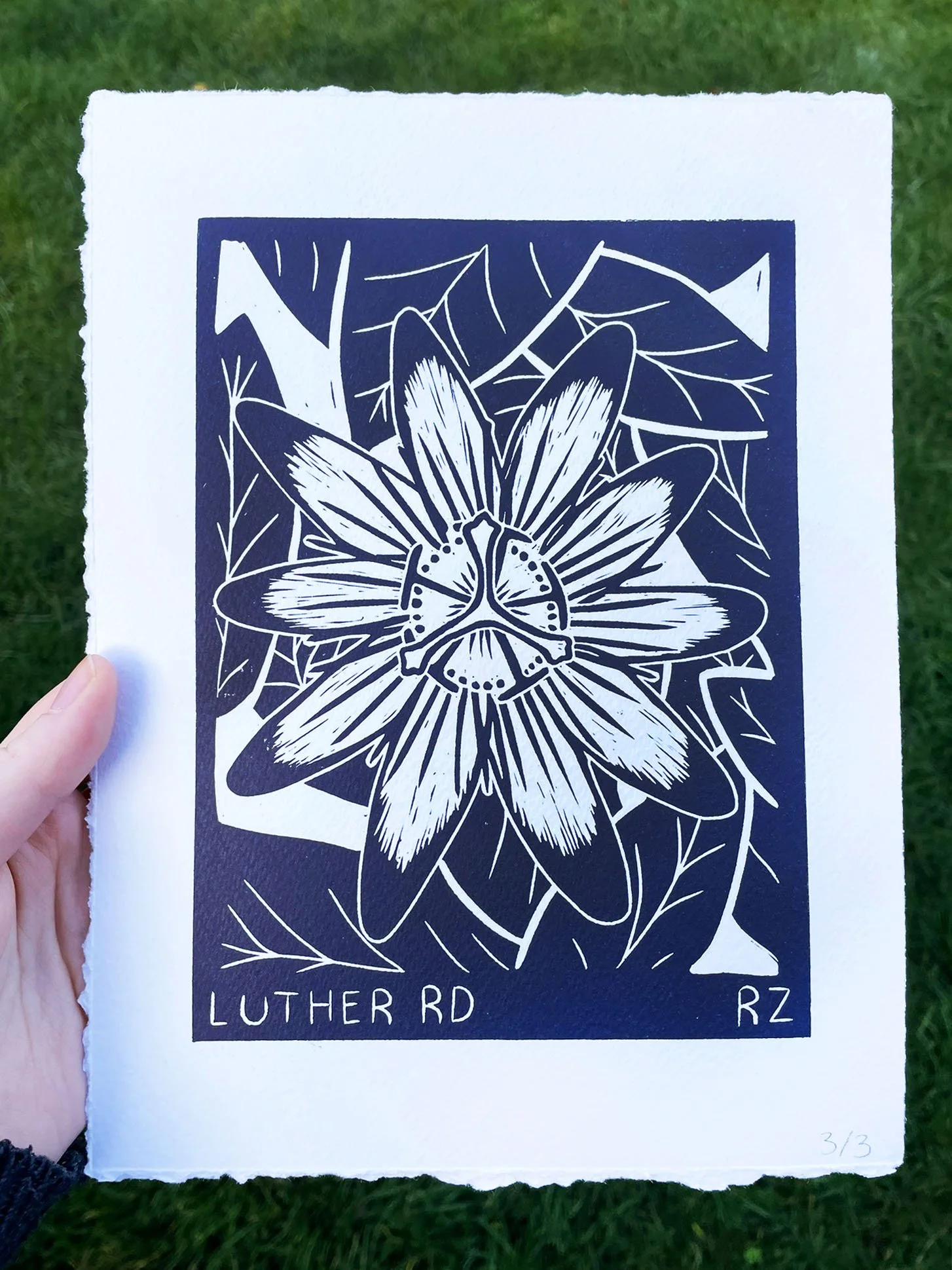 Passion Flowers on Luther Rd