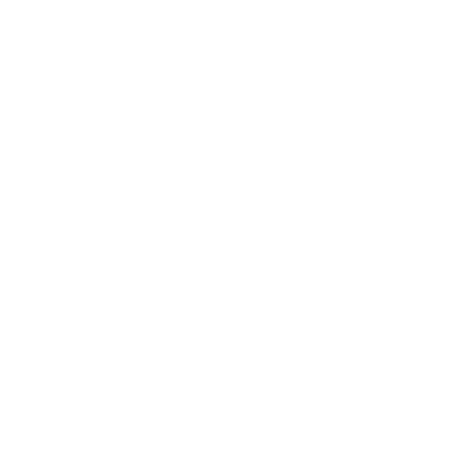 Security Audit Icon