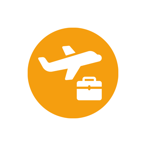 Flight Icon