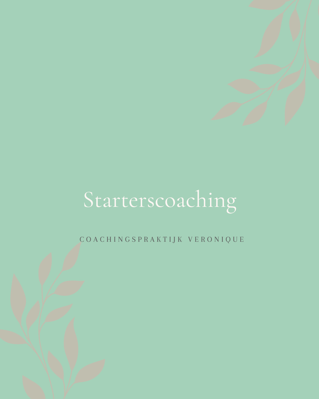 Coachingspraktijk Loopbaancheque (14).png