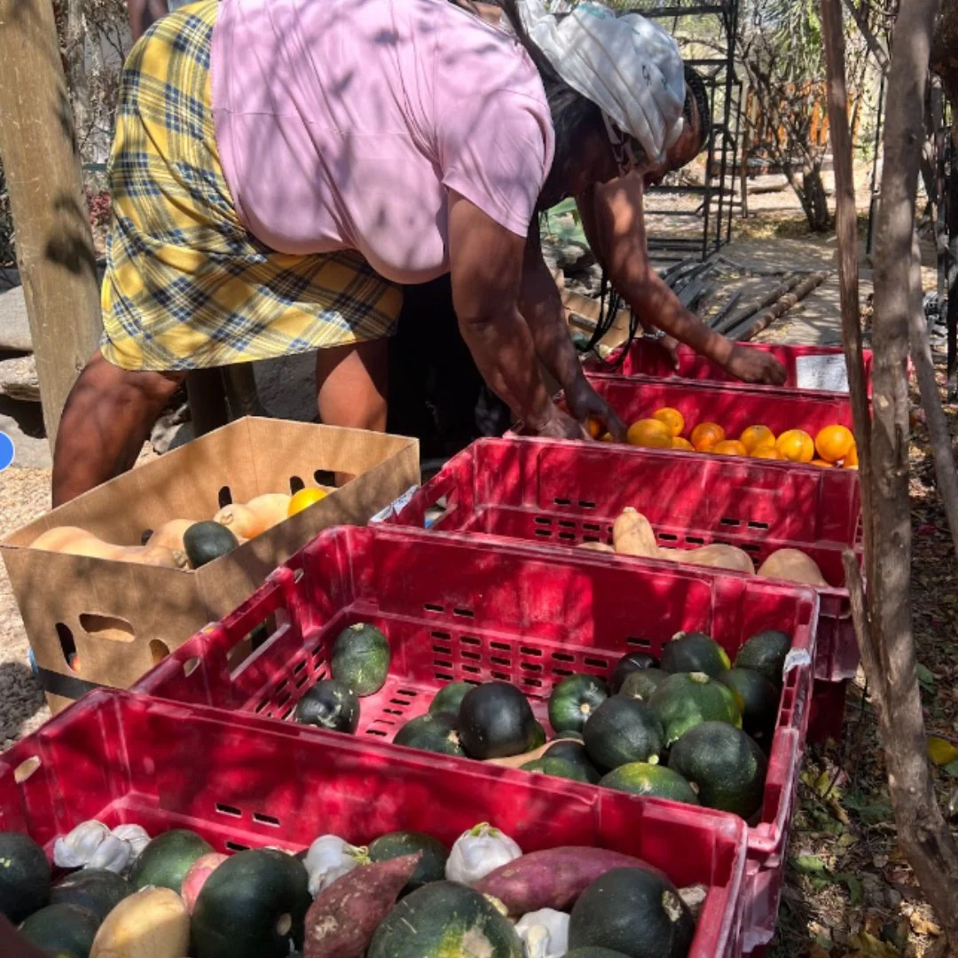 Veggiedelivery.jpg