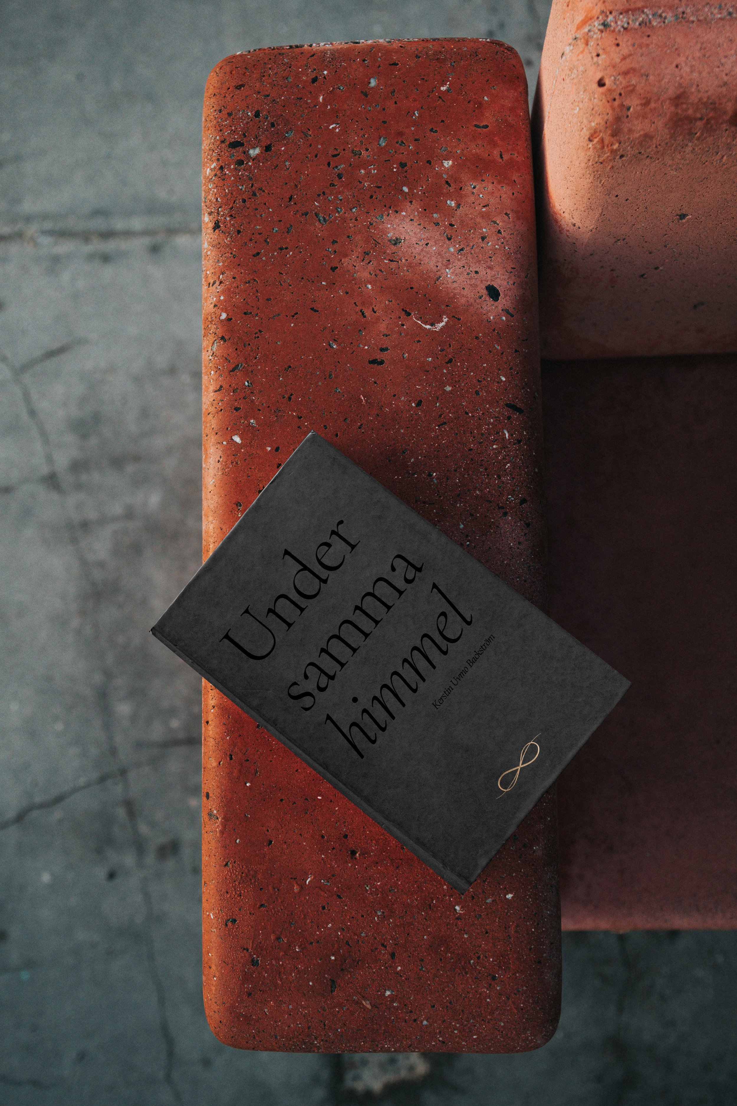 Book Mockup-blackcenter.jpg